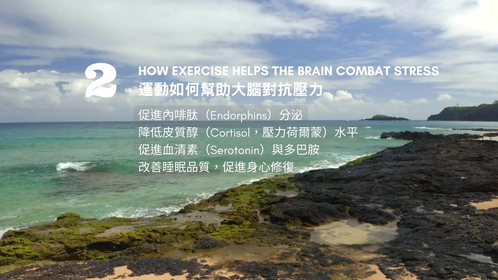 運動與健康,運動進化人生,從大腦到身心的蛻變,運動與壓力管理,山海戀單車,山海戀推薦,HealthAndFitness,BikeExplorer,RelieveStressThroughExercise