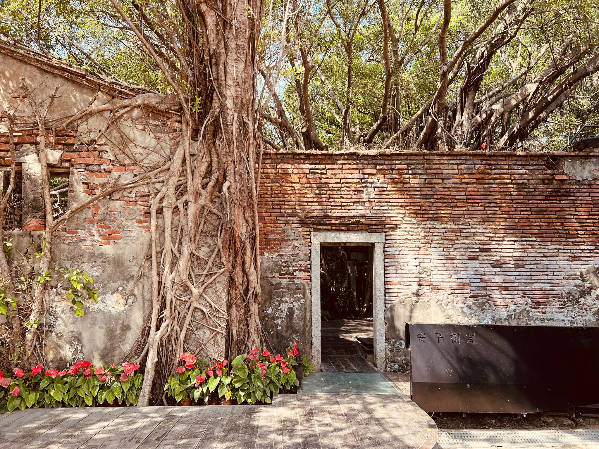 台南,安平,安平樹屋,德記洋行,自然生態,山海戀單車