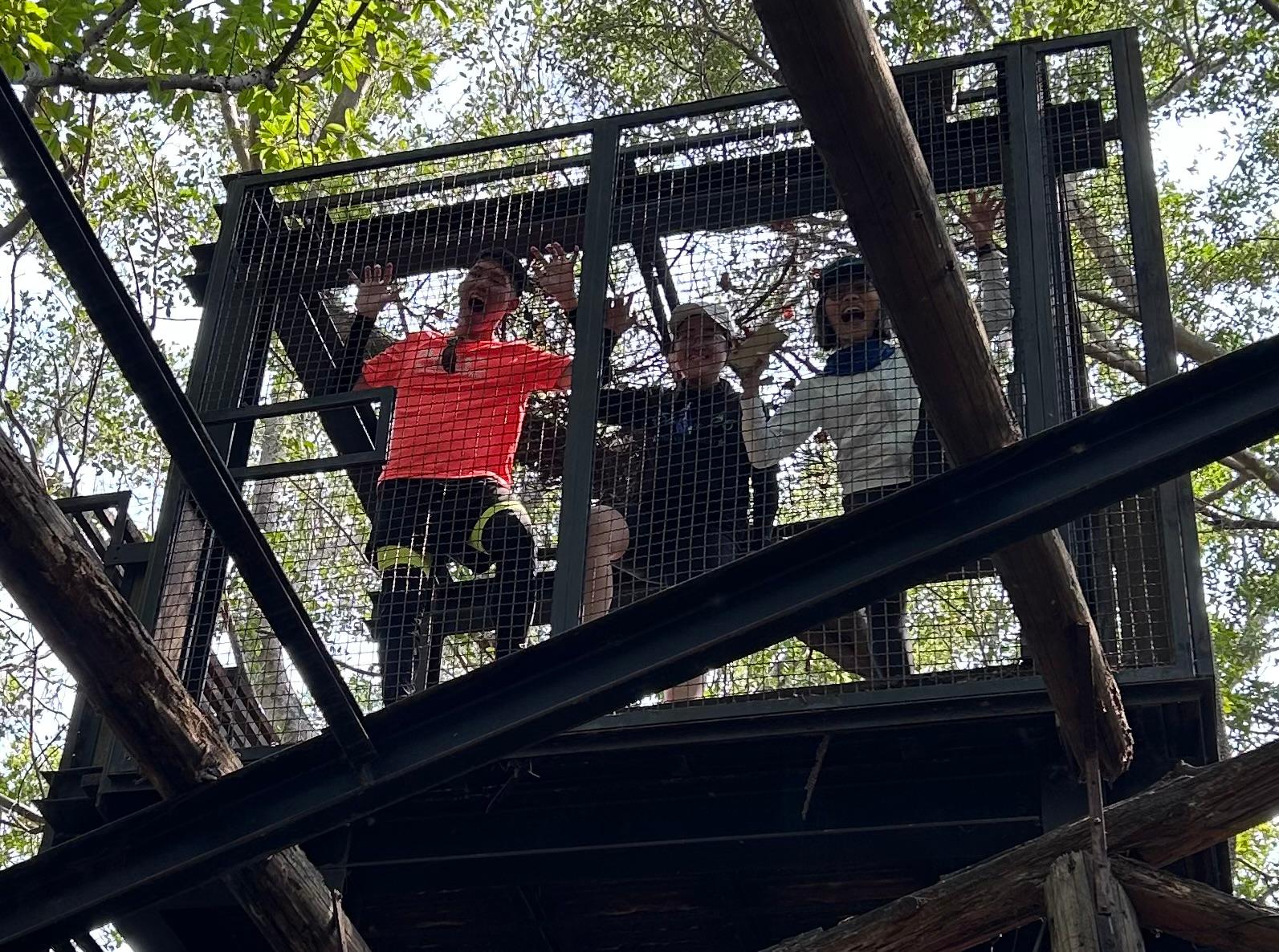 台南,安平,安平樹屋,德記洋行,自然生態,山海戀單車