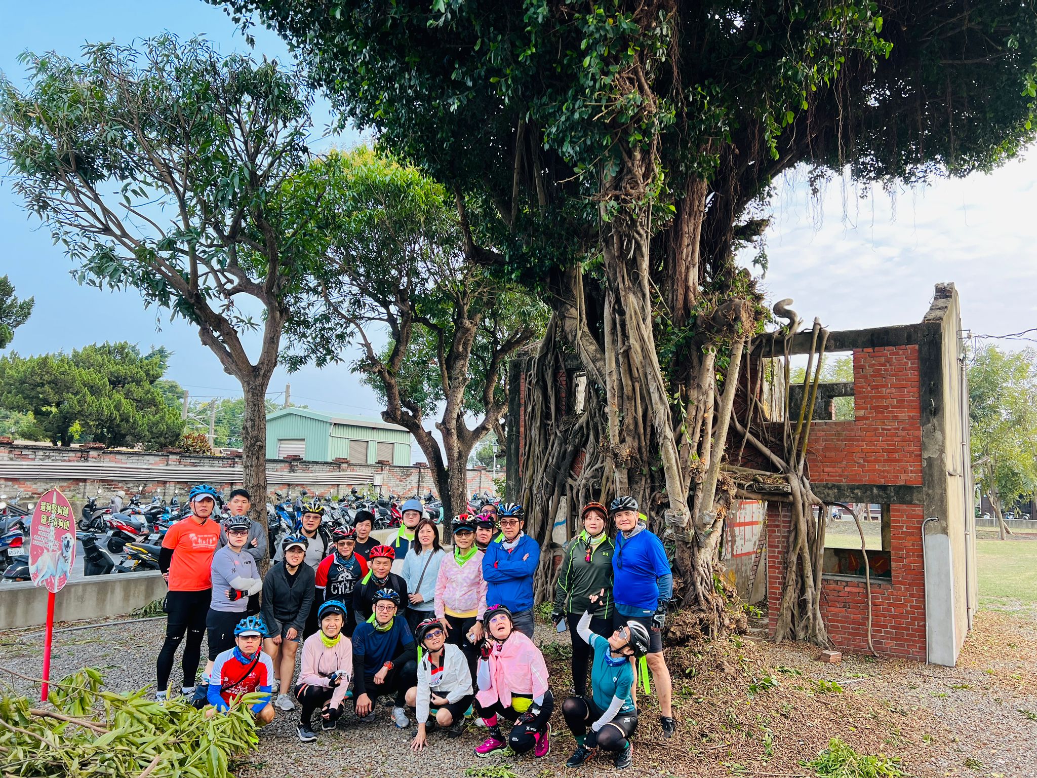 台南,安平,安平樹屋,德記洋行,自然生態,山海戀單車