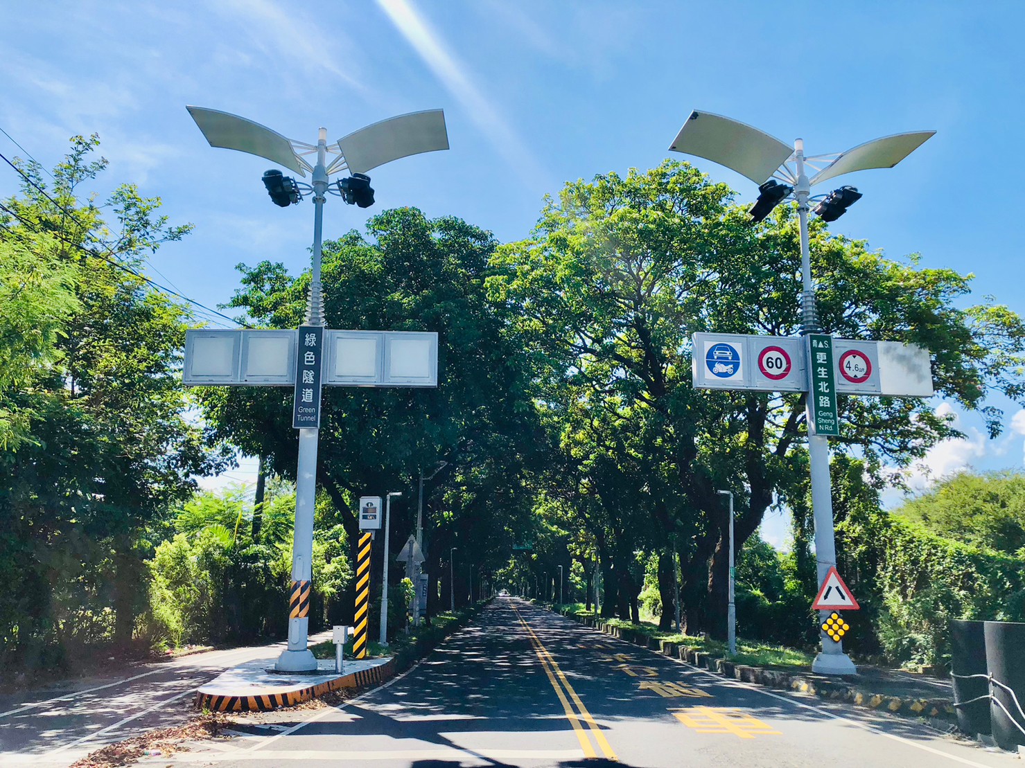 台東,卑南,十股綠色隧道,茄苳樹,山海戀單車