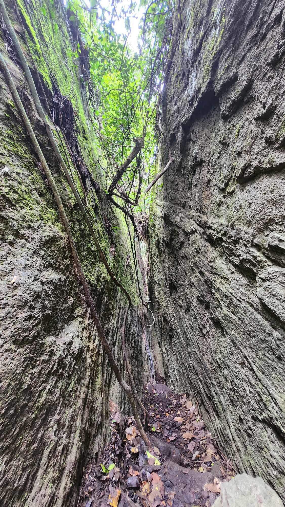 台東,都蘭,鸞山部落,鸞山森林博物館,會走路的樹,原住民,布農族,山海戀單車