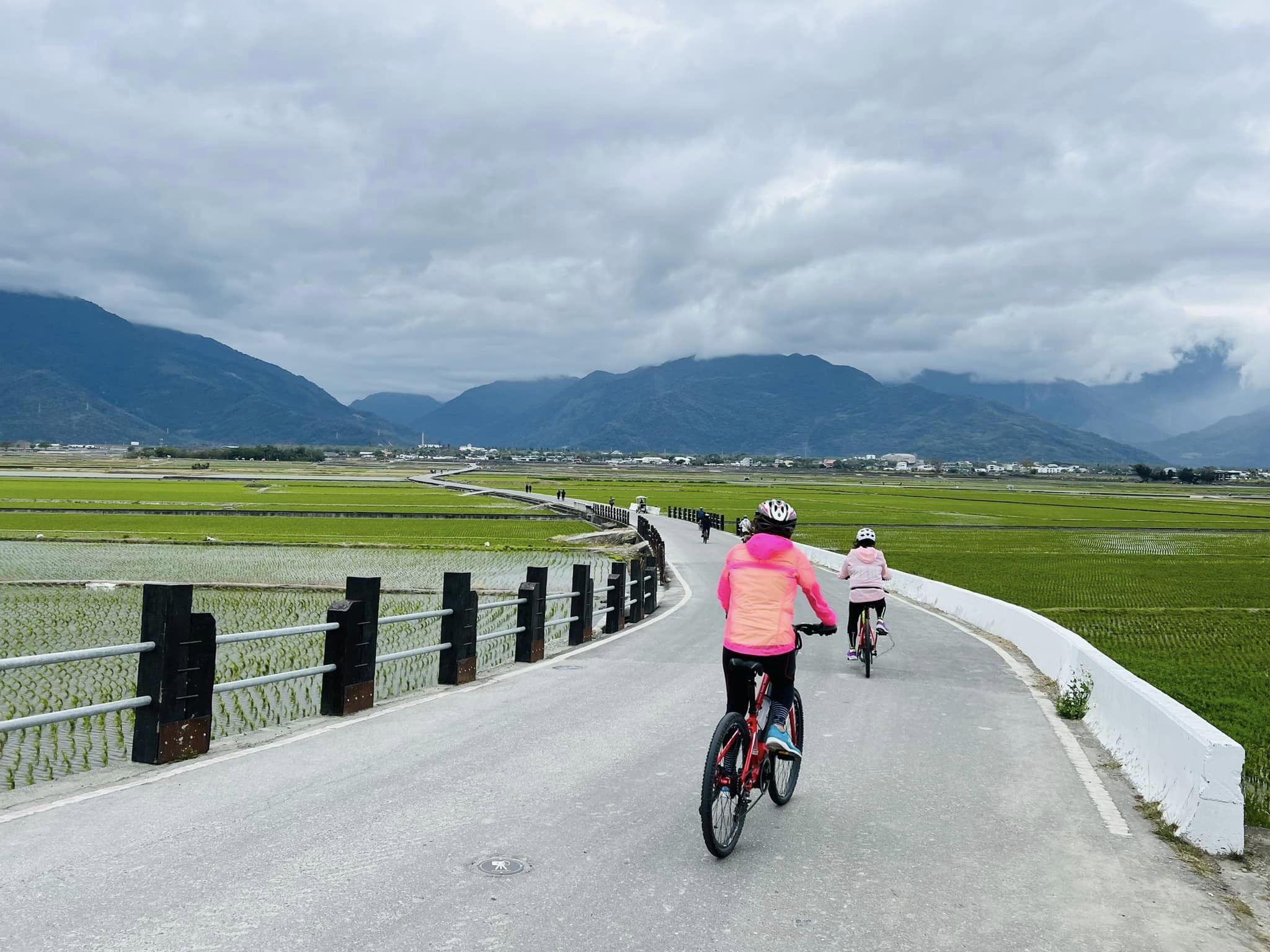 台東,池上,伯朗大道,天堂路,山海戀單車