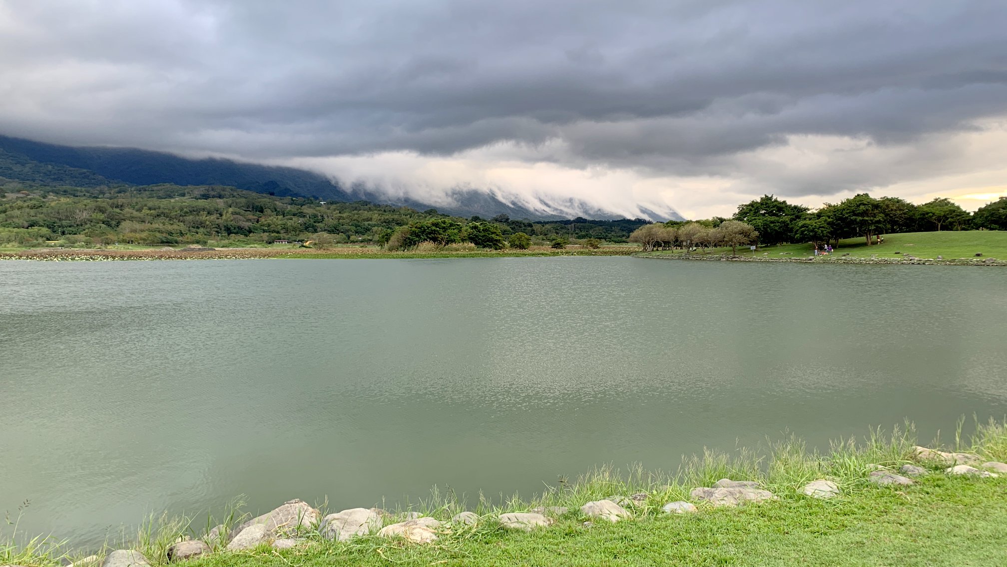 台東,池上,大坡池,台東十景,溼地,山海戀單車