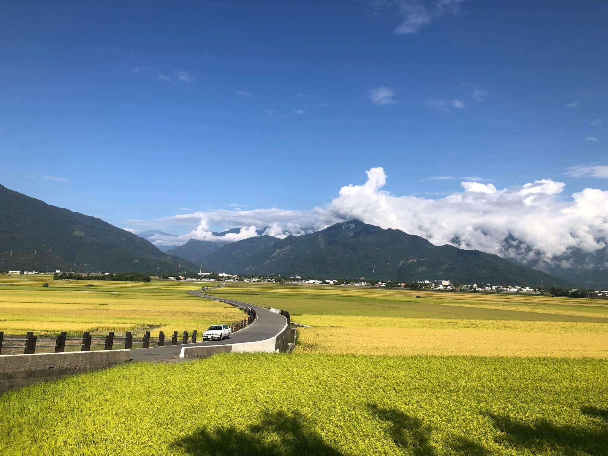 台東,池上,伯朗大道,天堂路,山海戀單車
