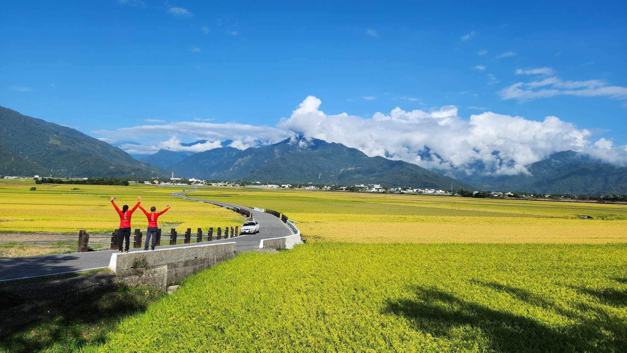 台東,池上,伯朗大道,天堂路,山海戀單車