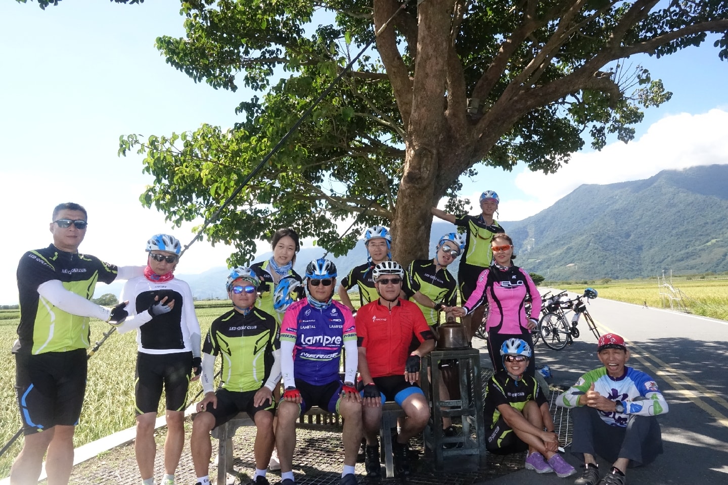 台東,池上,伯朗大道,金城武樹,奉茶樹,山海戀單車