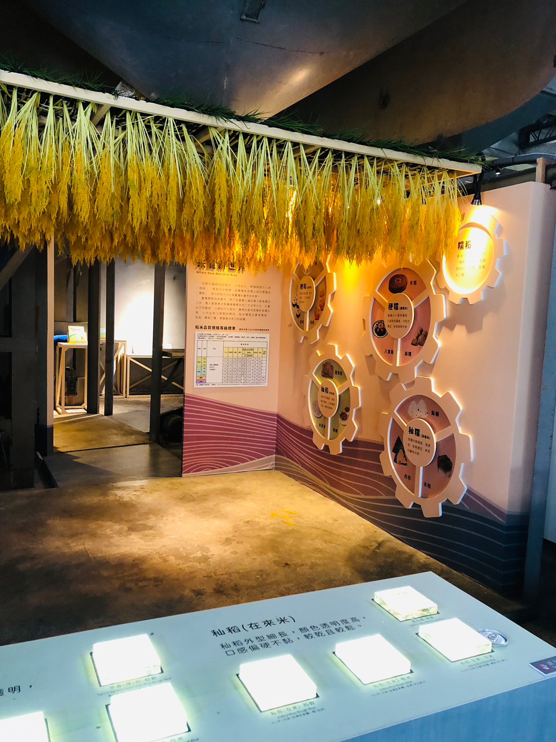 台東,關山,米國學校,關山農會仁愛鄉,山海戀單車