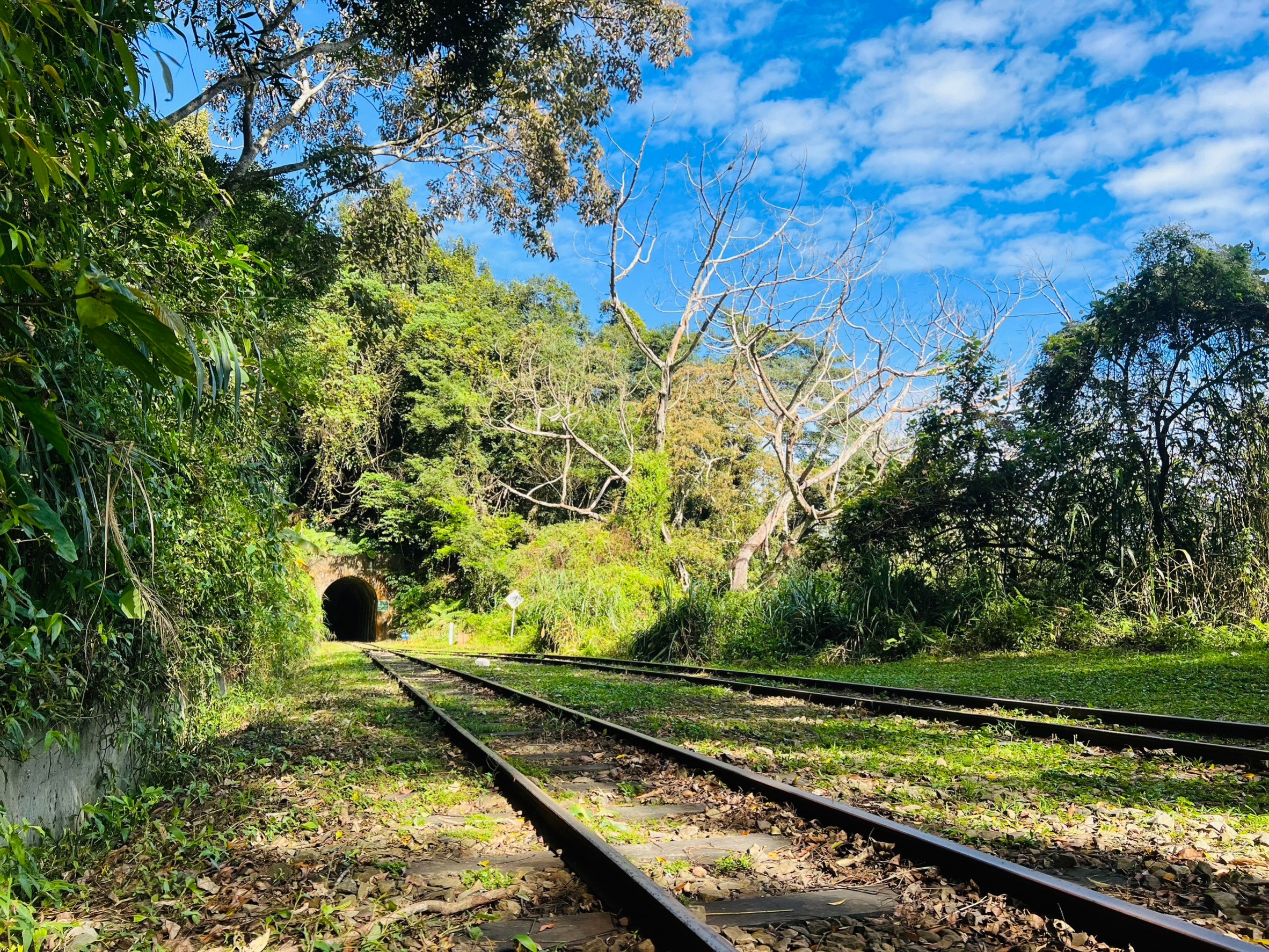 嘉義,阿里山林鐵,梨園寮車站,木造火車站,火車站,鐵道文化,山海戀單車