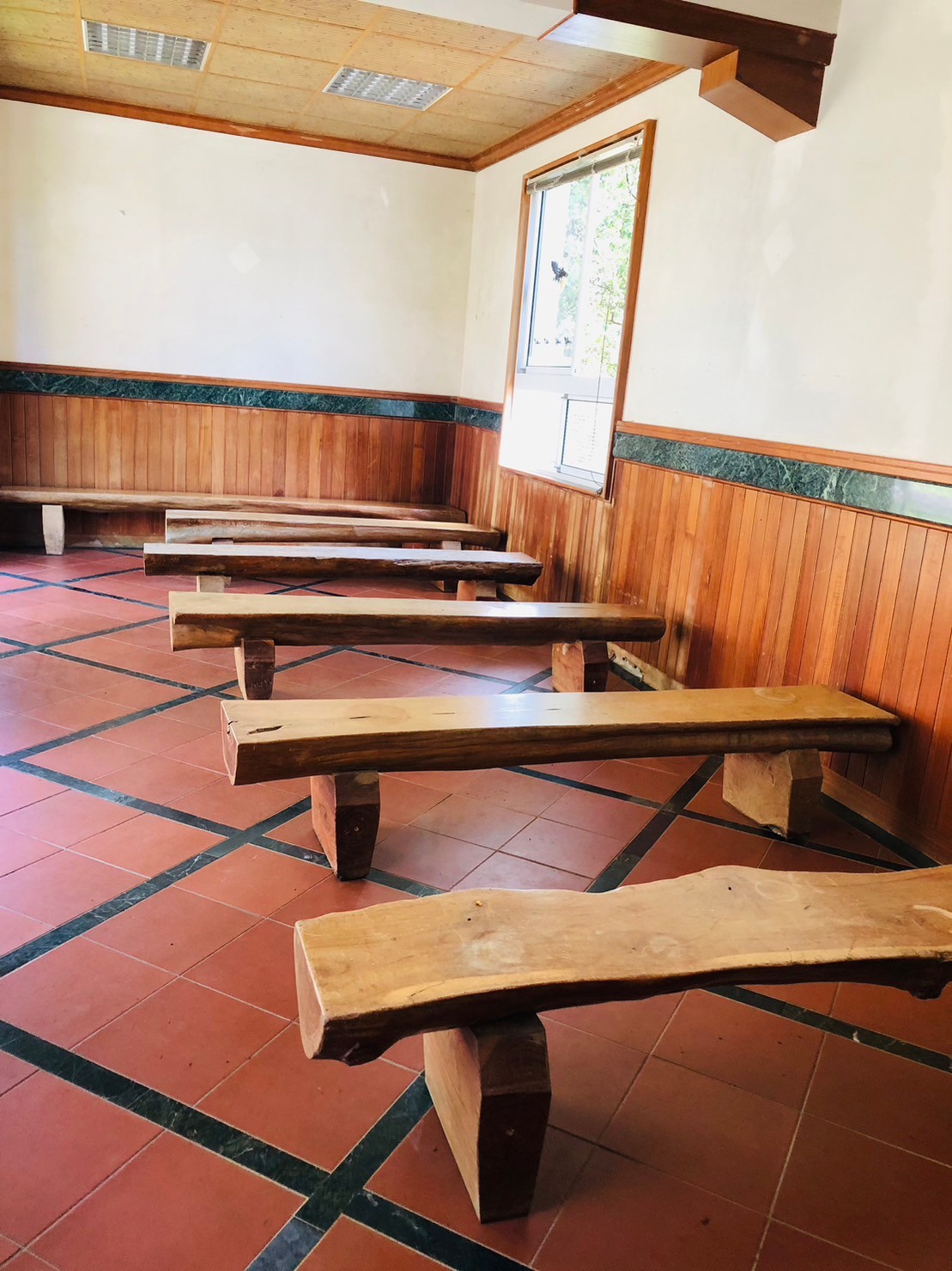 嘉義,阿里山林鐵,水社寮車站,木造火車站,火車站,鐵道文化,山海戀單車