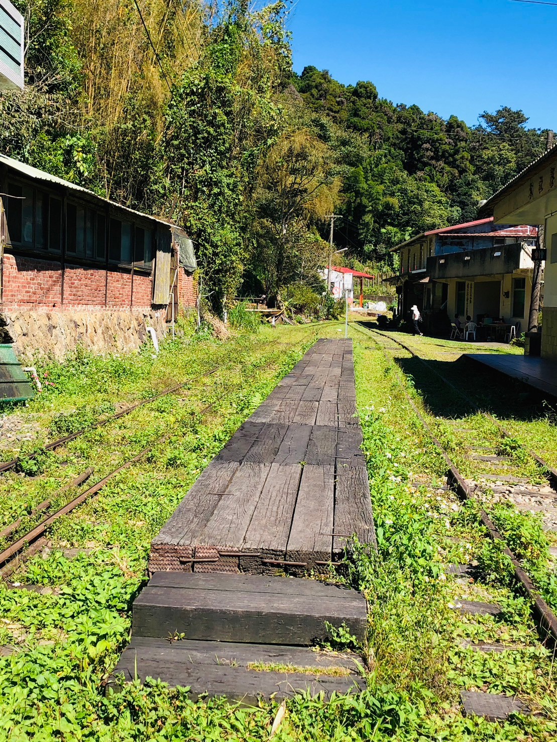 嘉義,阿里山林鐵,水社寮車站,木造火車站,火車站,鐵道文化,山海戀單車