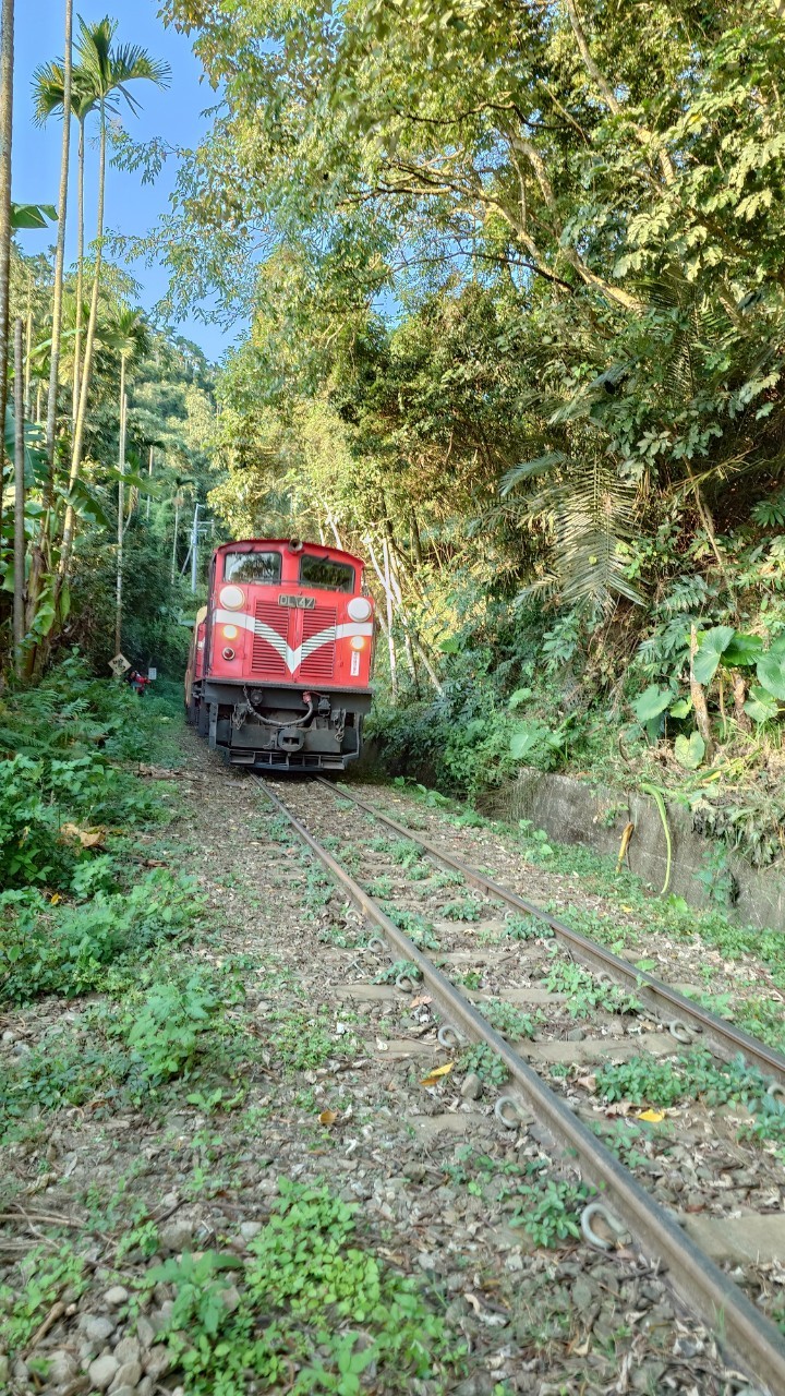 嘉義,阿里山林鐵,獨立山車站,木造火車站,火車站,鐵道文化,山海戀單車