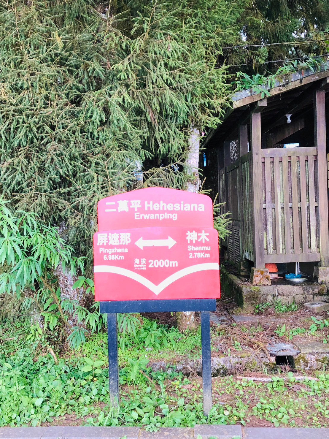 嘉義,阿里山林鐵,二萬平車站,木造火車站,火車站,鐵道文化,山海戀單車
