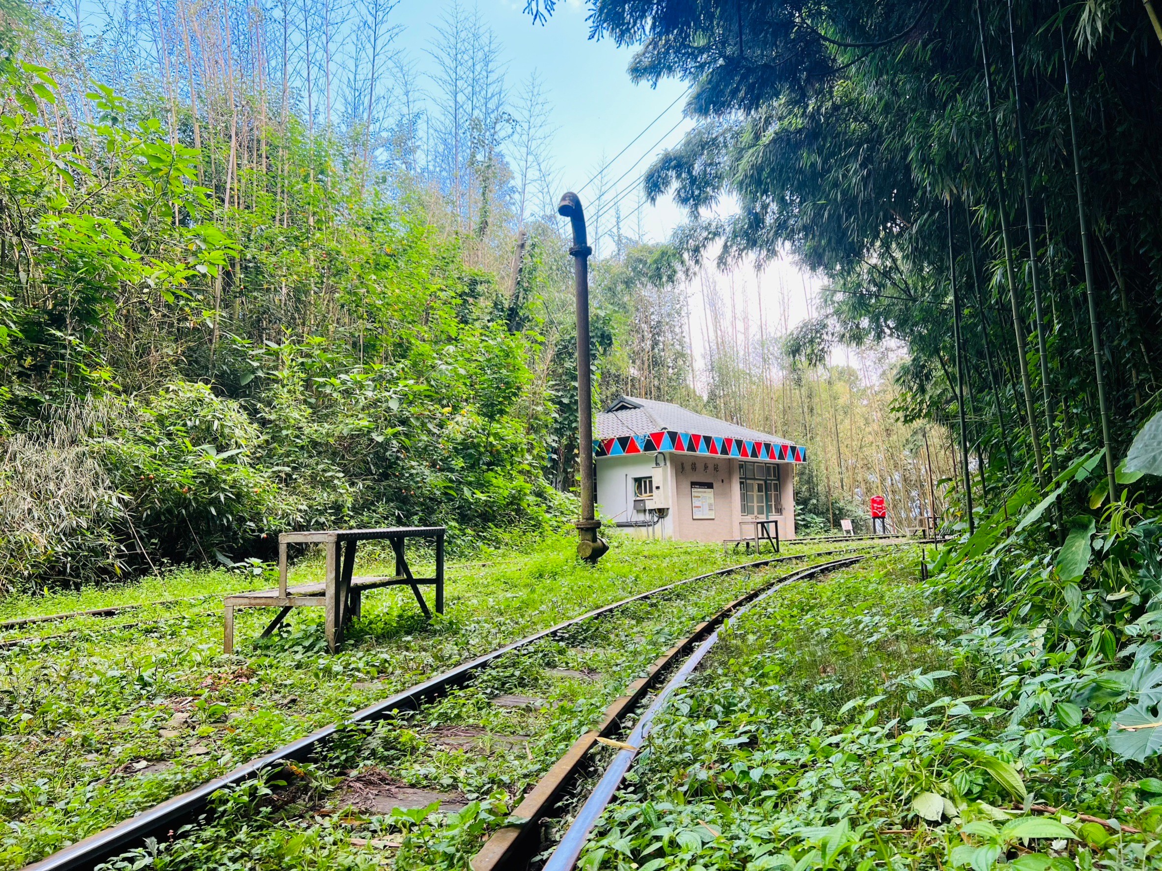嘉義,阿里山林鐵,多林車站,火車站,鐵道文化,鄒族,原住民文化,山海戀單車