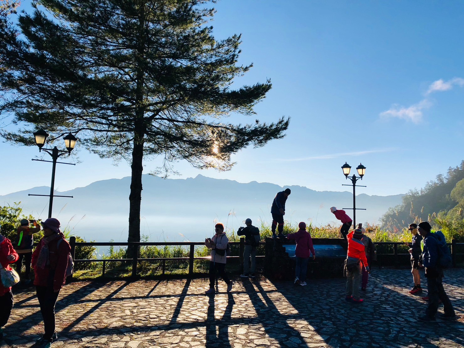 嘉義,阿里山林鐵,對高岳車站,木造火車站,鐵道文化,山海戀單車