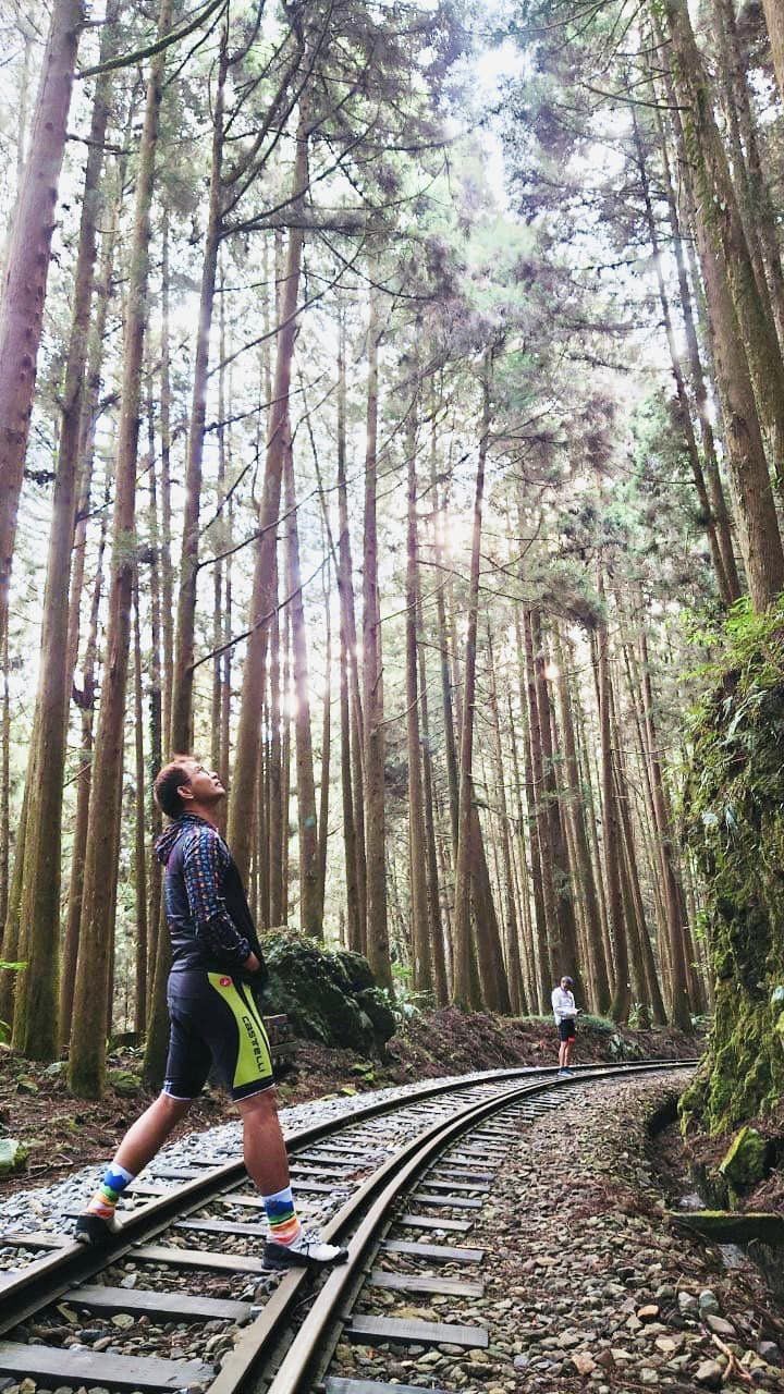 嘉義,阿里山鄉,特富野古道,鄒族,原住民,山海戀單車