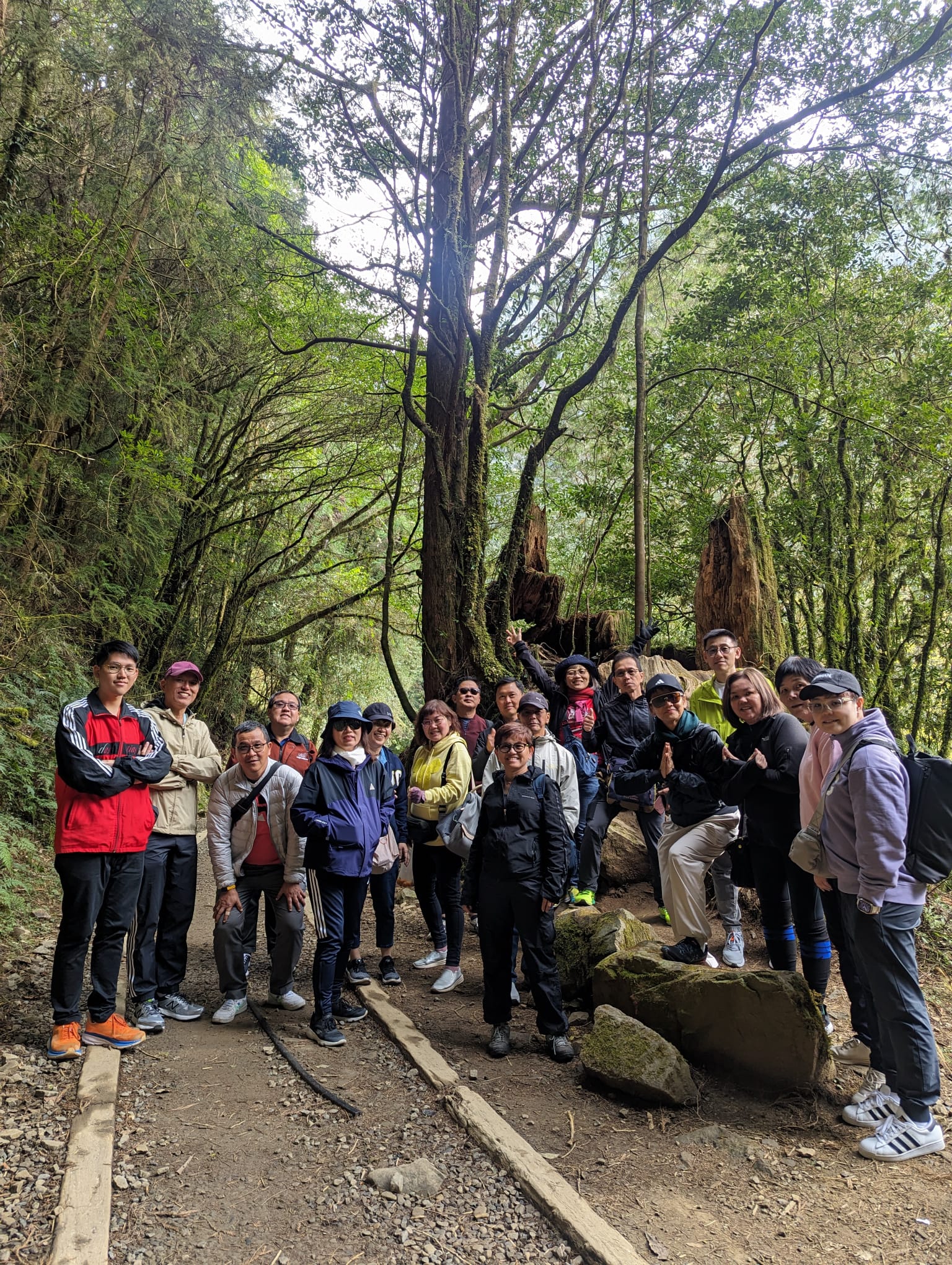 嘉義,阿里山,特富野古道,鄒族,原住民,山海戀單車