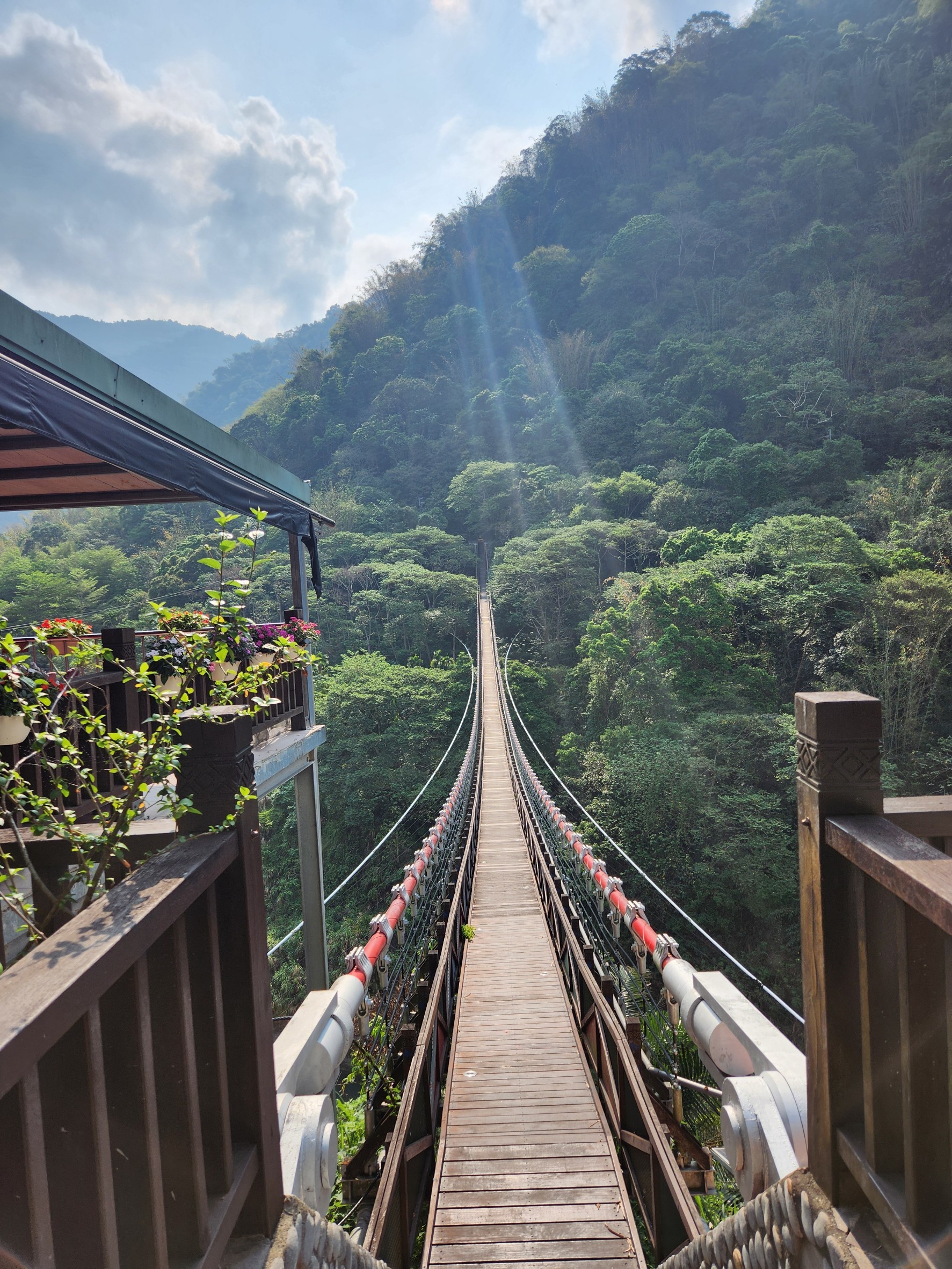 嘉義,阿里山,福美吊橋,鄒族,原住民,橋樑,山海戀單車
