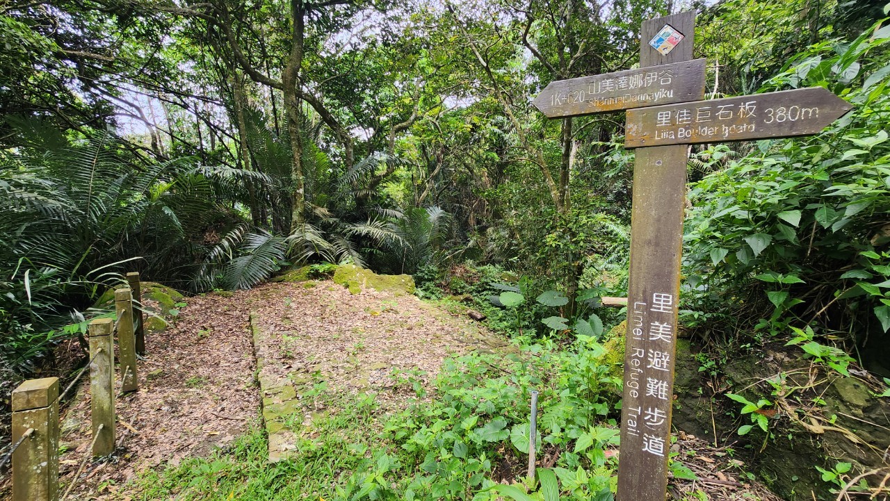 嘉義,阿里山,里美避難步道,原住民文化,山海戀單車
