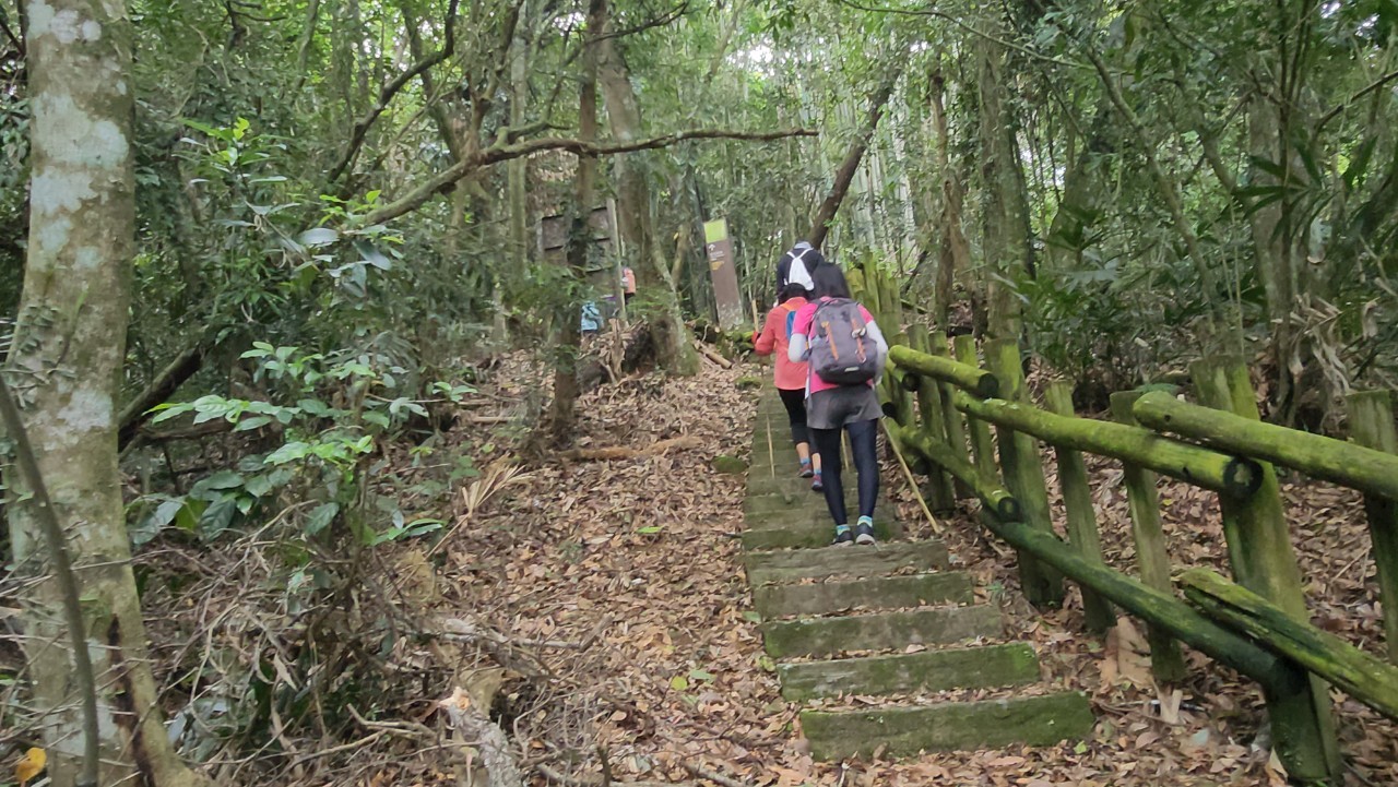 嘉義,阿里山,里美避難步道,原住民文化,山海戀單車