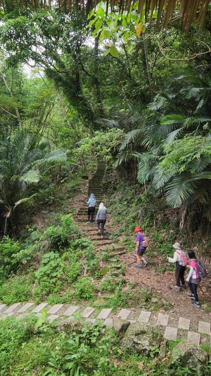 嘉義,阿里山,里美避難步道,原住民文化,山海戀單車