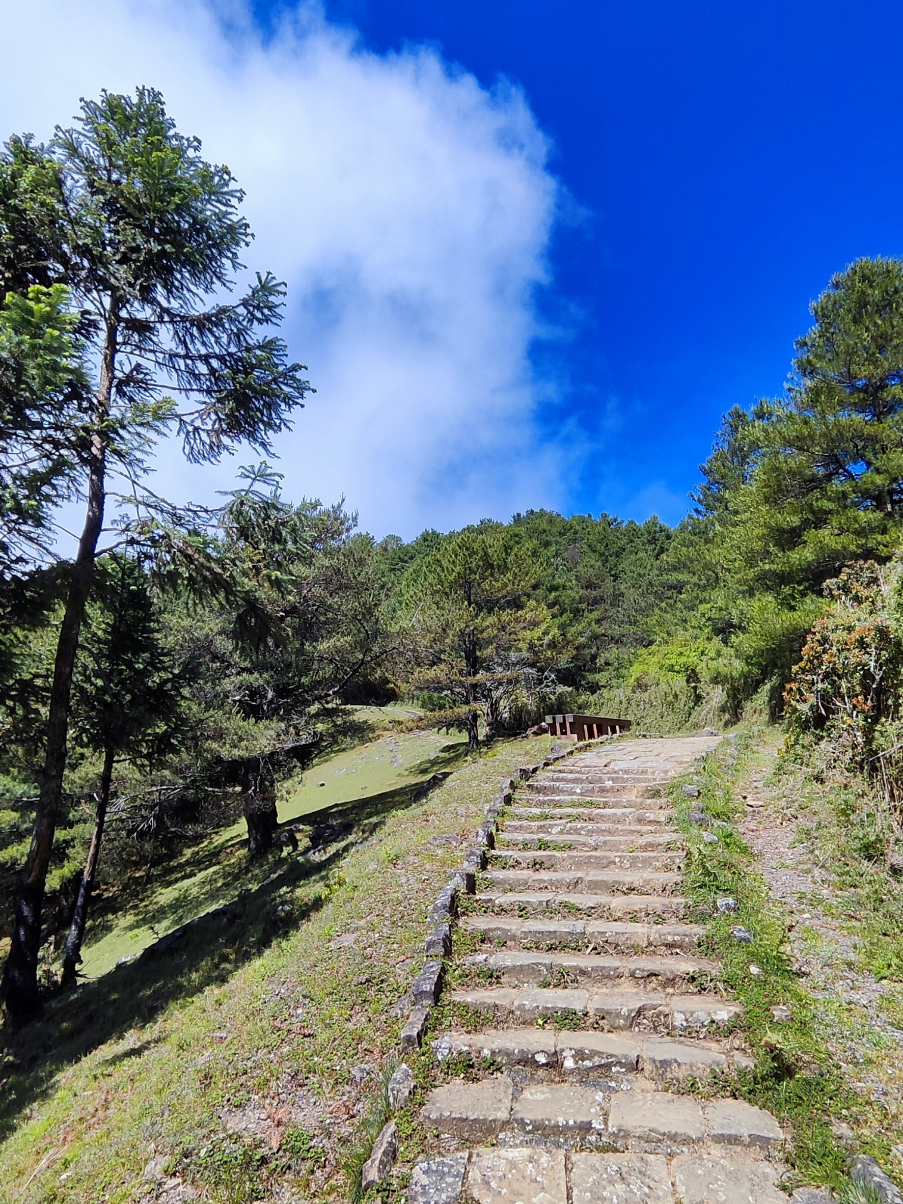 台南,中西區,兌悅門,古城門,咾咕石,百年建築,歷史建築,山海戀單車