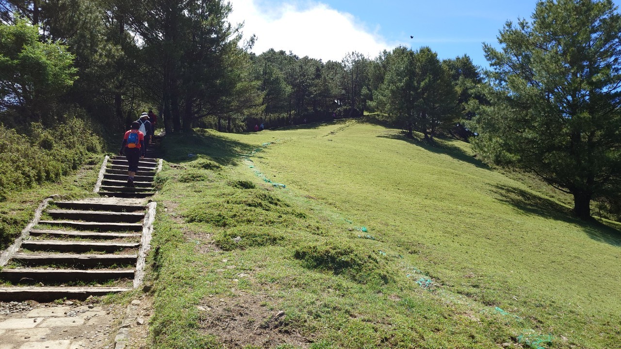 南投,信義鄉,麟趾山,麟趾山步道,玉山國家公園,山海戀單車