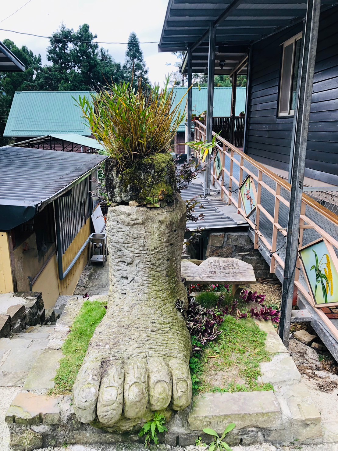 嘉義,阿里山,得恩亞納部落,原住民,鄒族,日本合掌村,山海戀單車