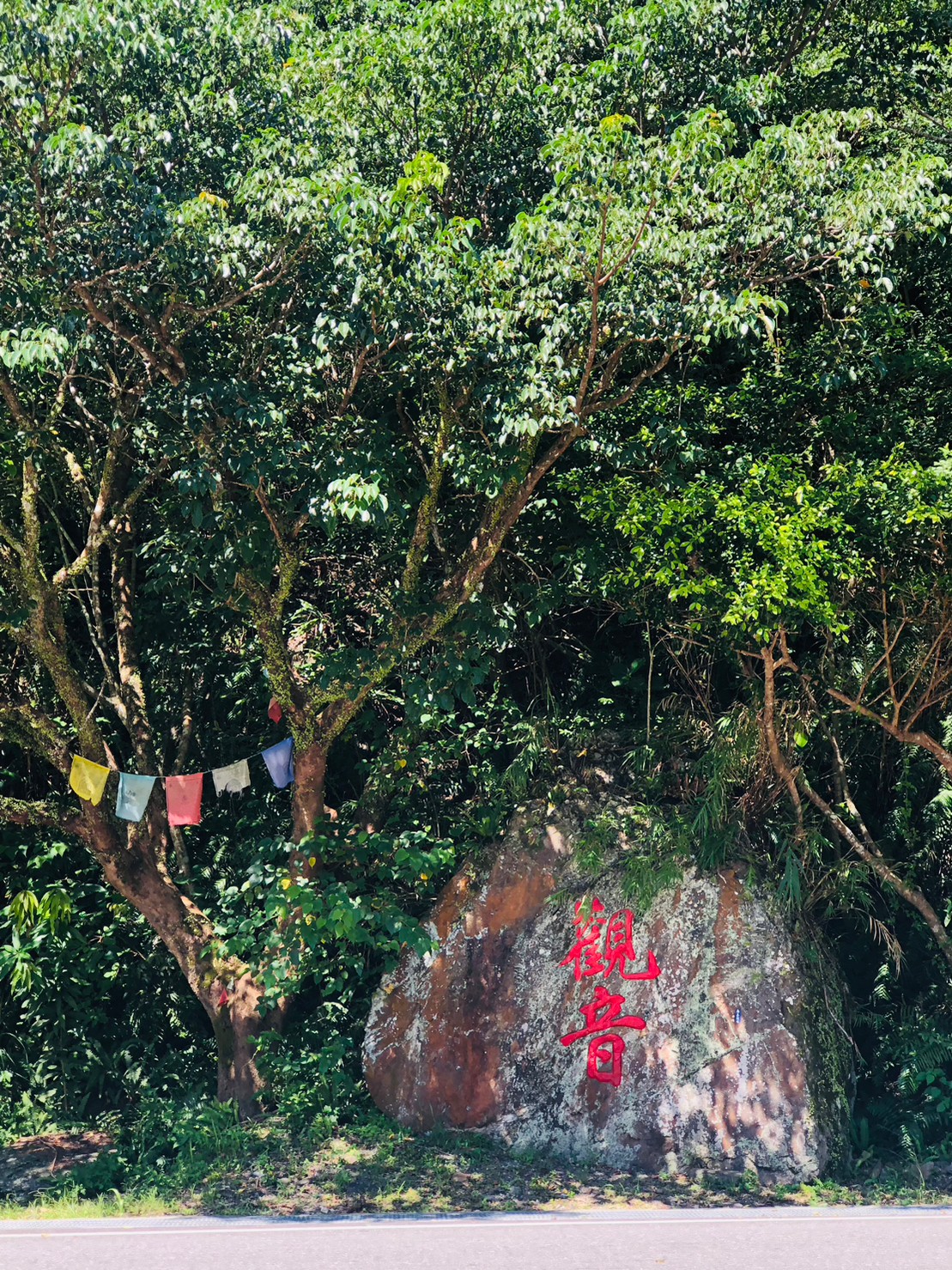 宜蘭,南澳,觀音石,蘇花公路,山海戀單車