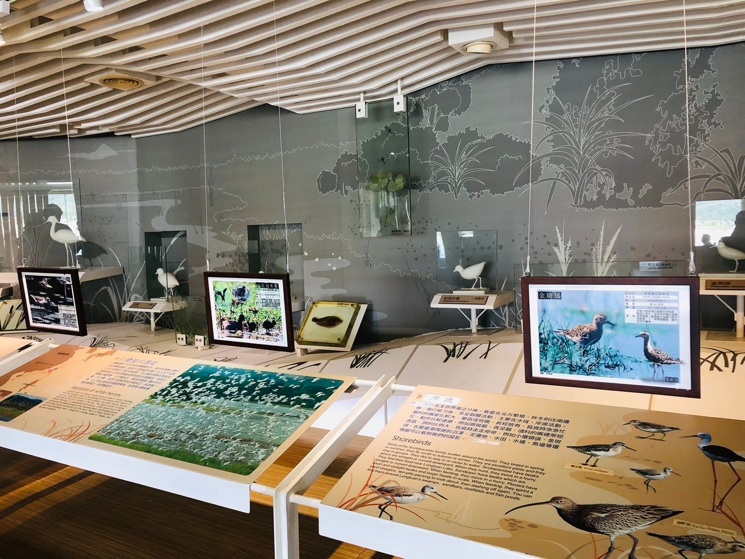 屏東,恆春,龍鑾潭自然中心,溼地,恆春半島,墾丁國家公園,山海戀單車