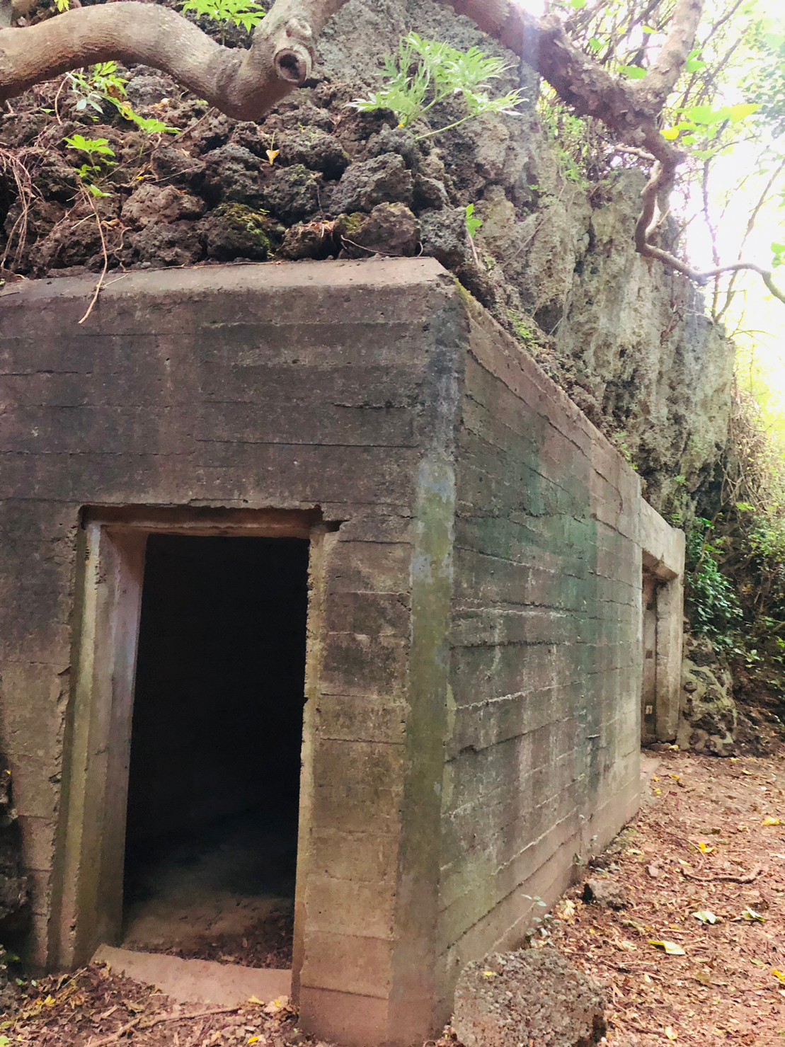 車城,龜山步道,牡丹社事件,山海戀單車