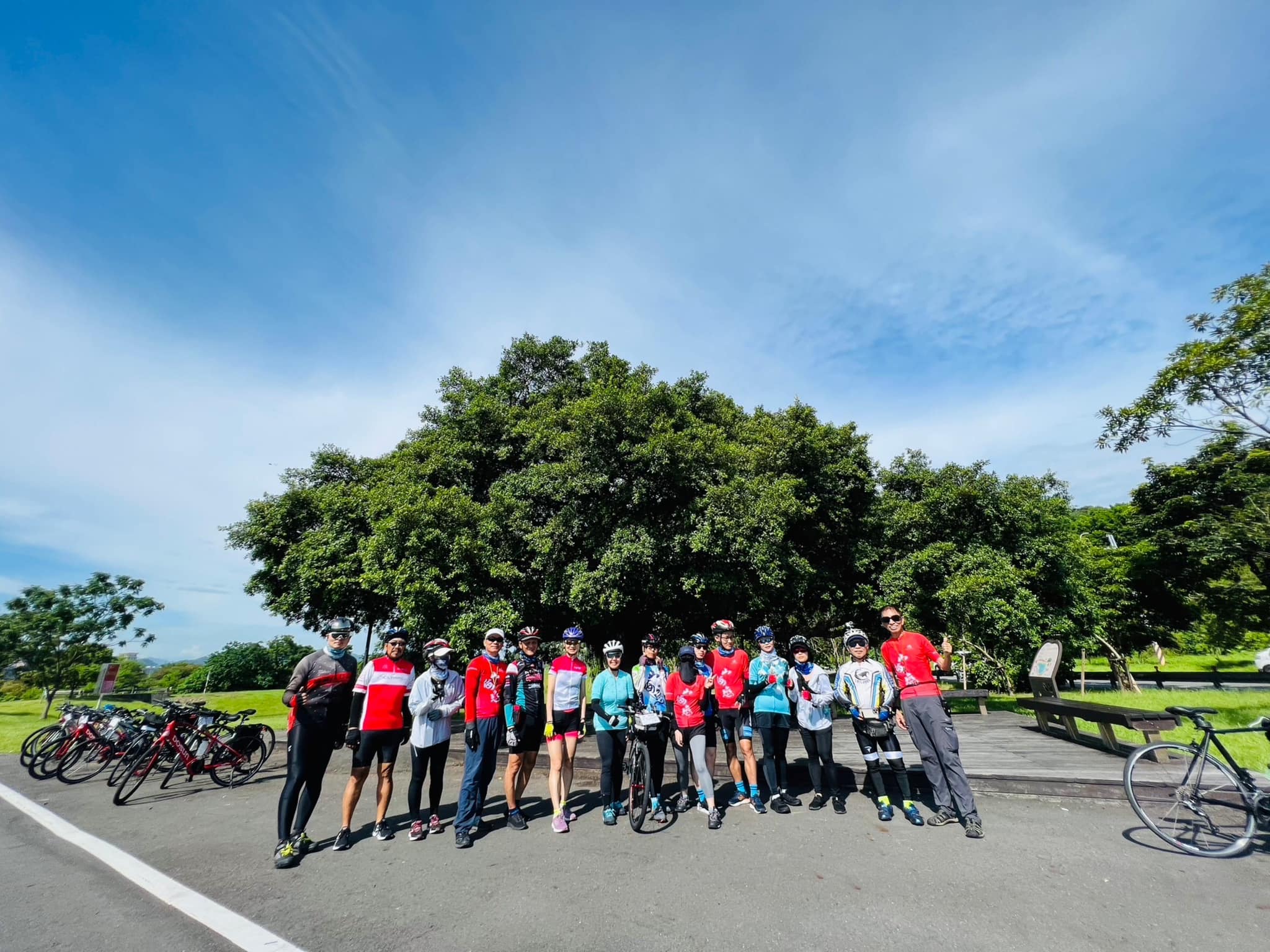 新北,樹林,金城武樹,沐心池,山海戀單車