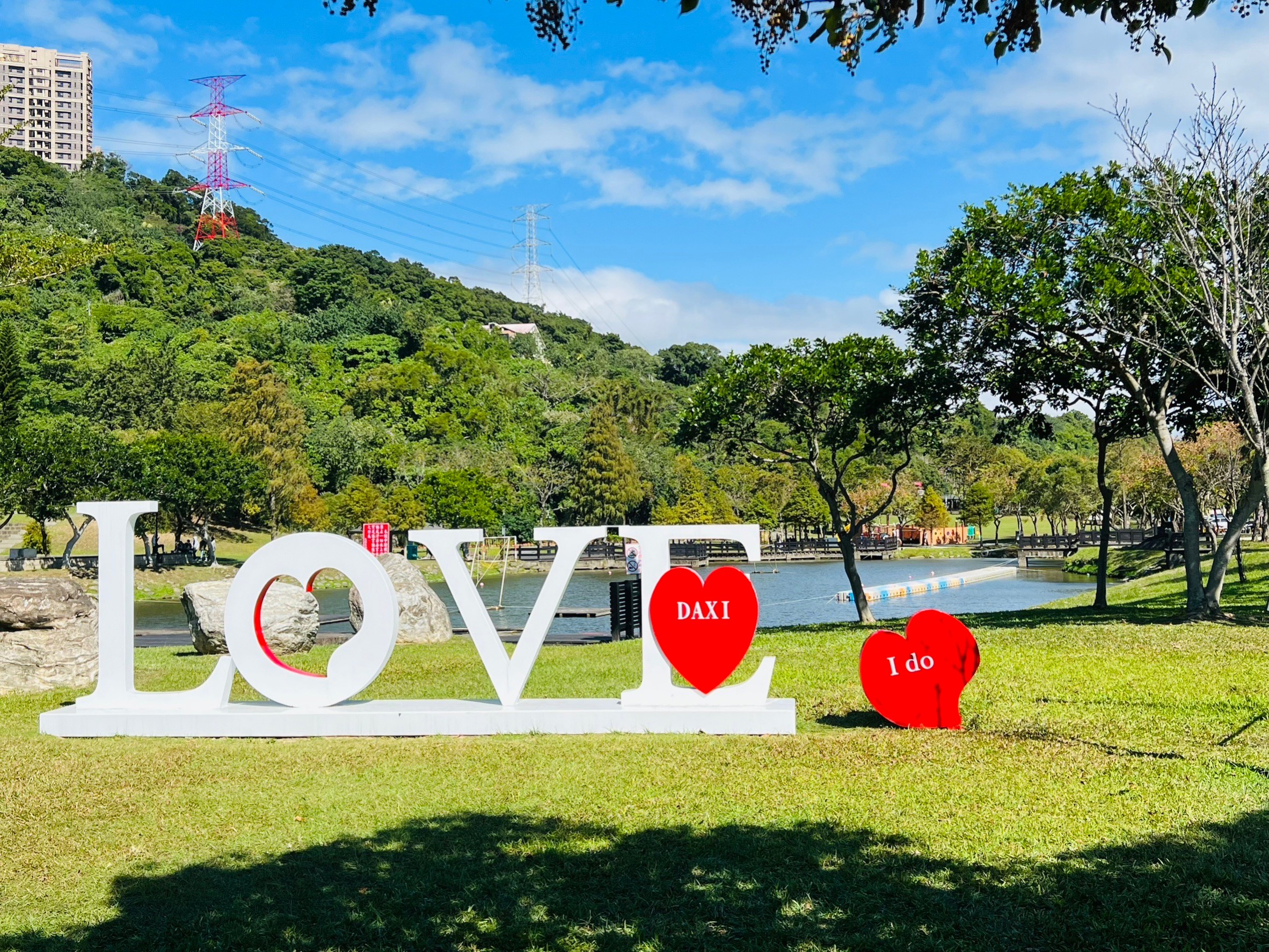 桃園,大溪,大溪河濱公園,落羽松,love,山海戀單車