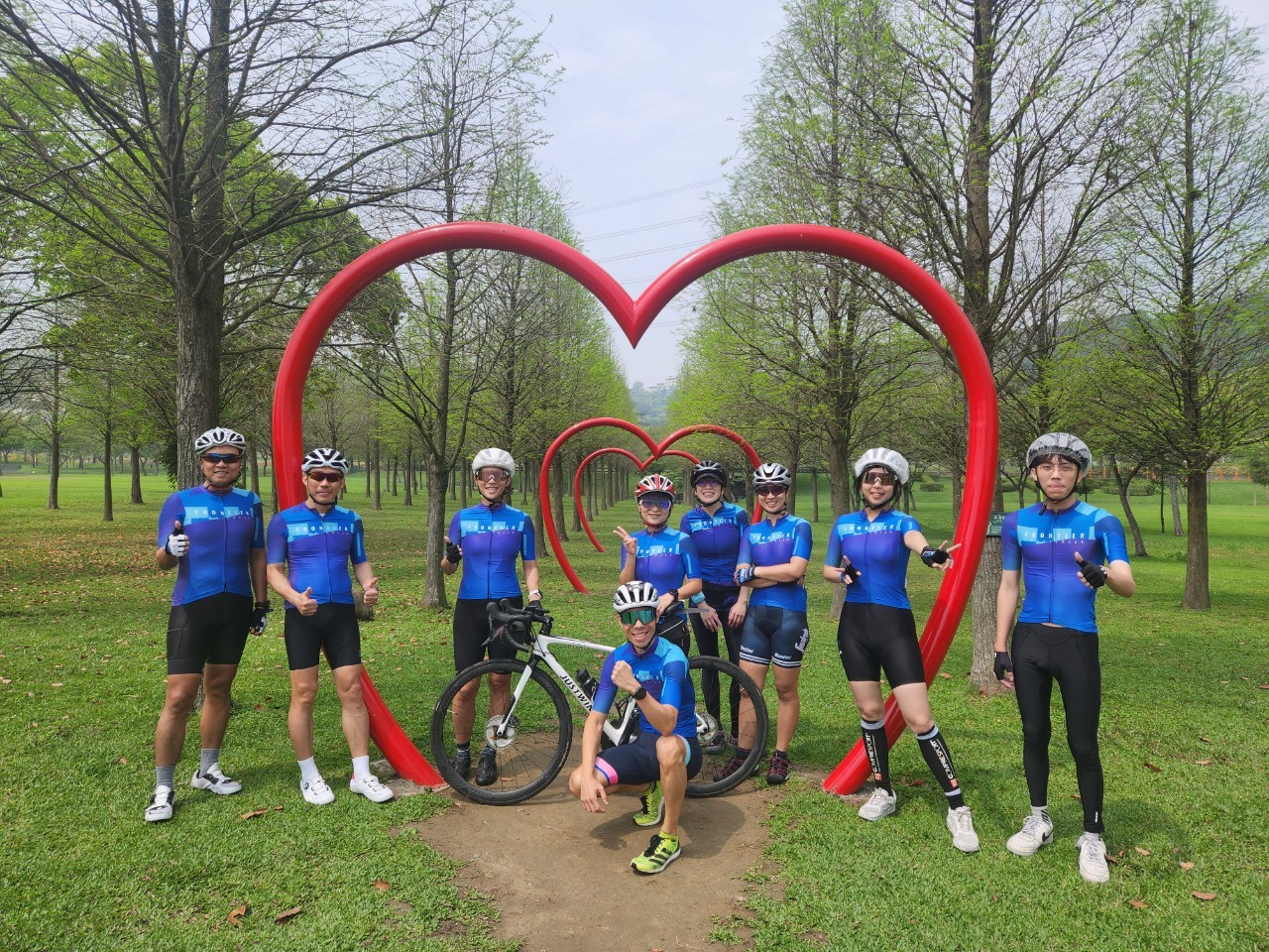 桃園,大溪,大溪河濱公園,落羽松,love,山海戀單車