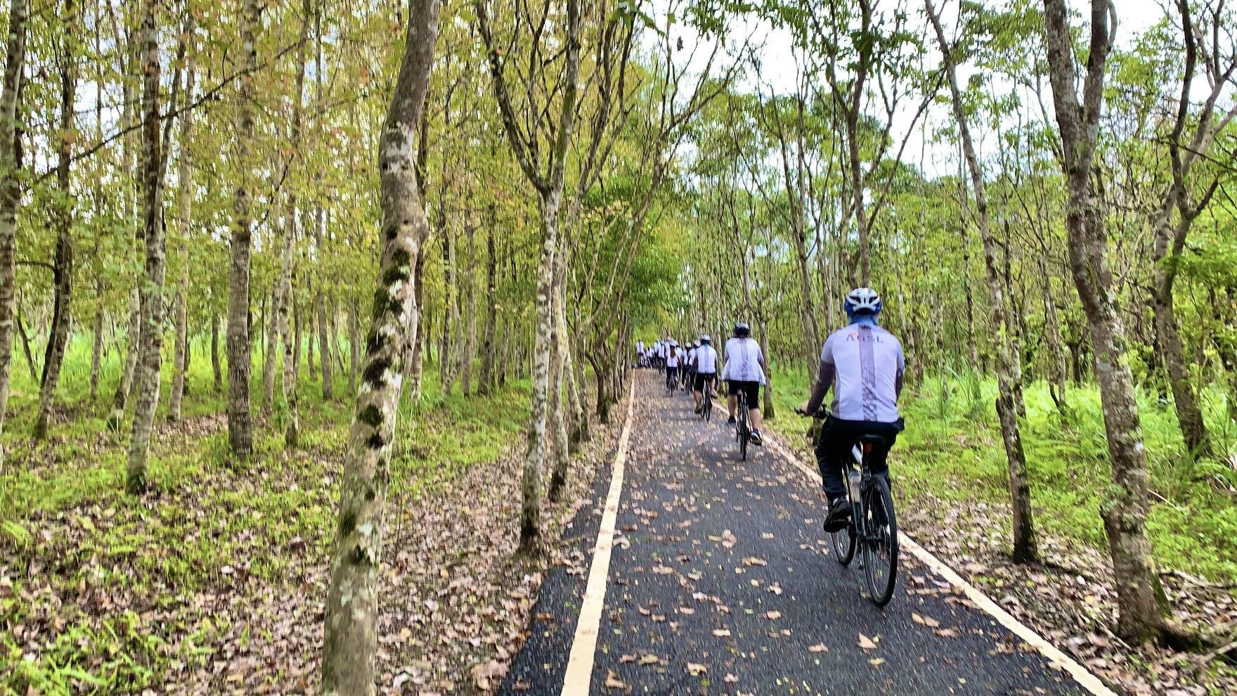 花蓮,光復鄉,大農大富平地森林園區,山海戀單車