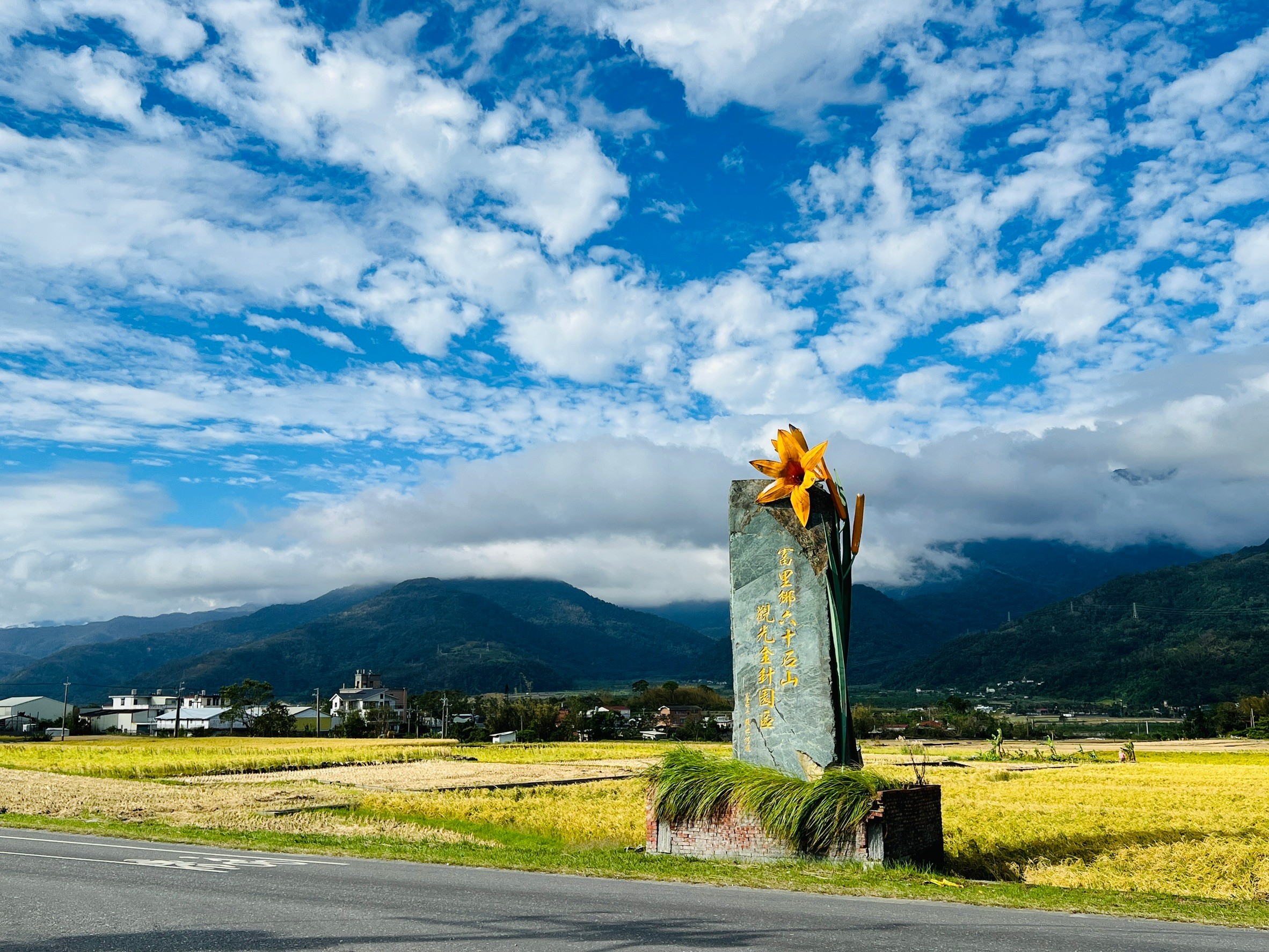 花蓮,富里,六十石山,金針花,山海戀單車
