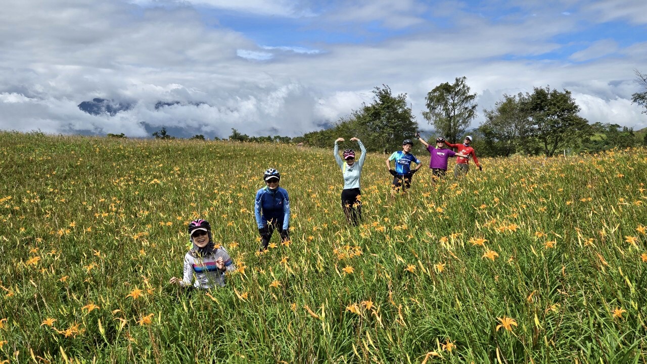 花蓮,富里,六十石山,金針花,山海戀單車