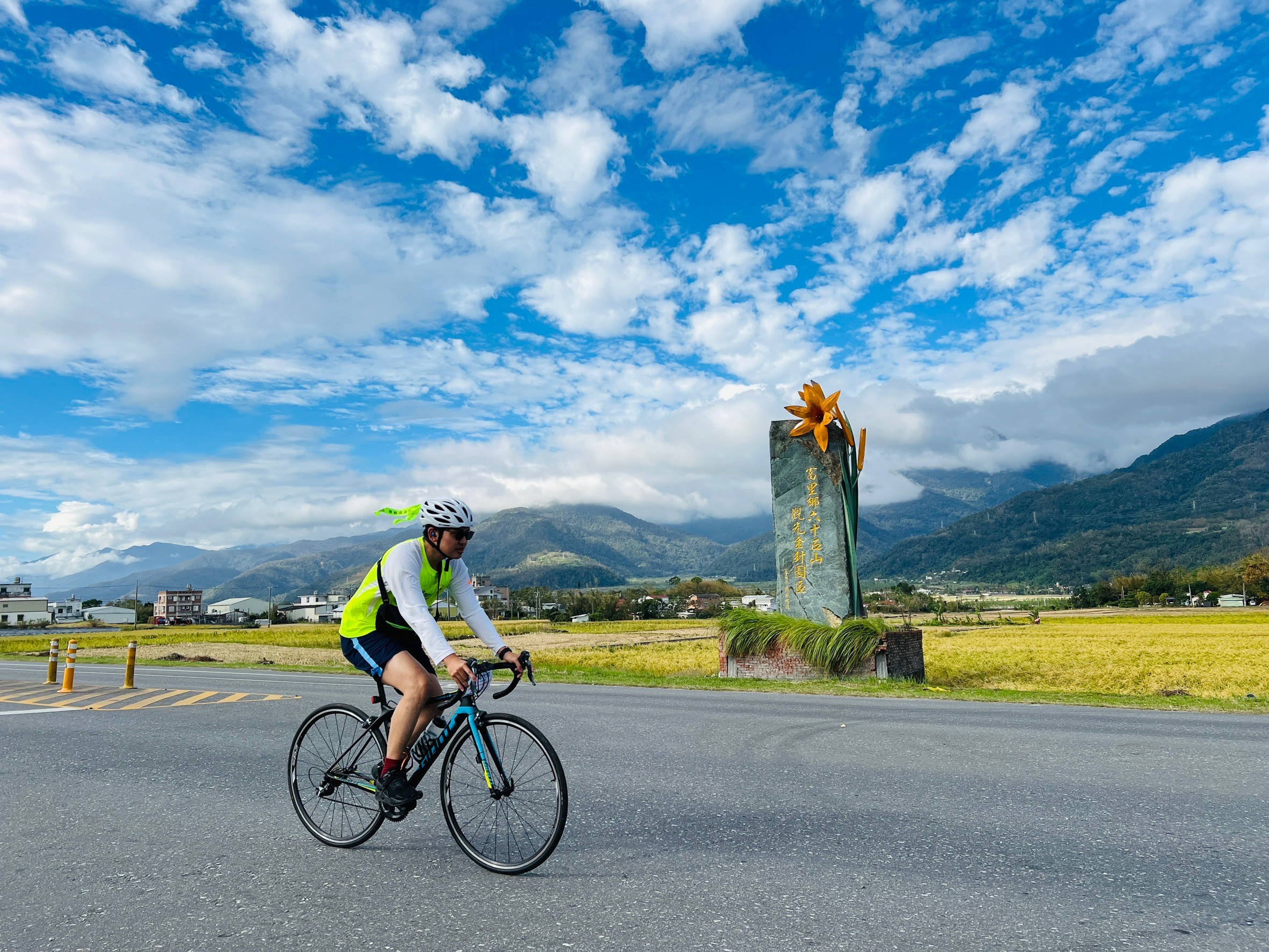 花蓮,富里,六十石山,金針花,山海戀單車