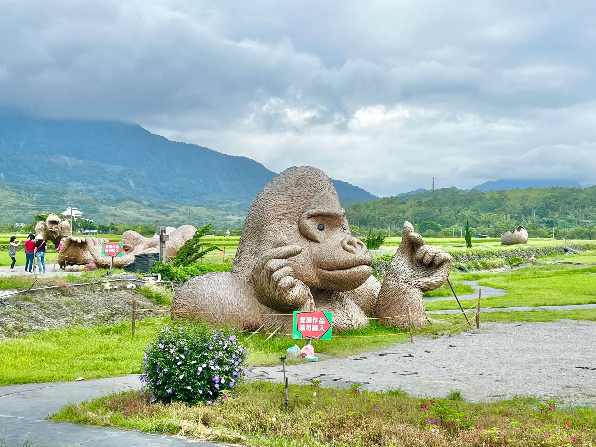 花蓮,富里,富里花海景觀區,藝術,花東縱谷,稻草藝術季,山海戀單車,山海戀推薦