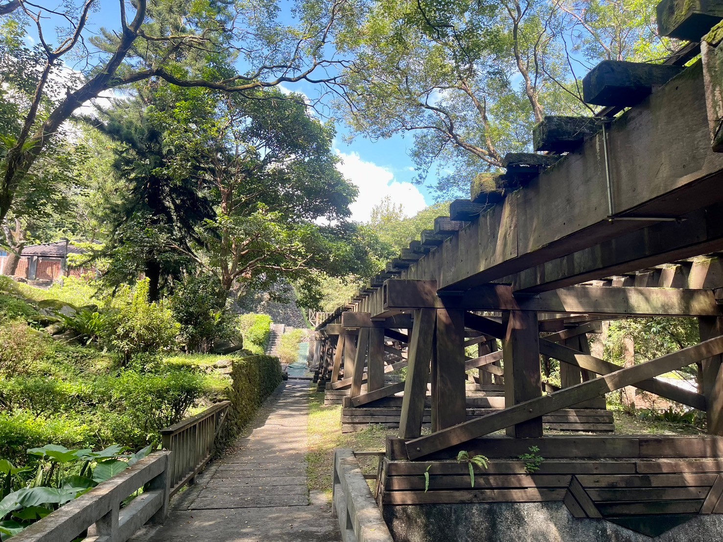 花蓮,鳳林,林田山林業文化園區,花東縱谷,林場,山海戀單車
