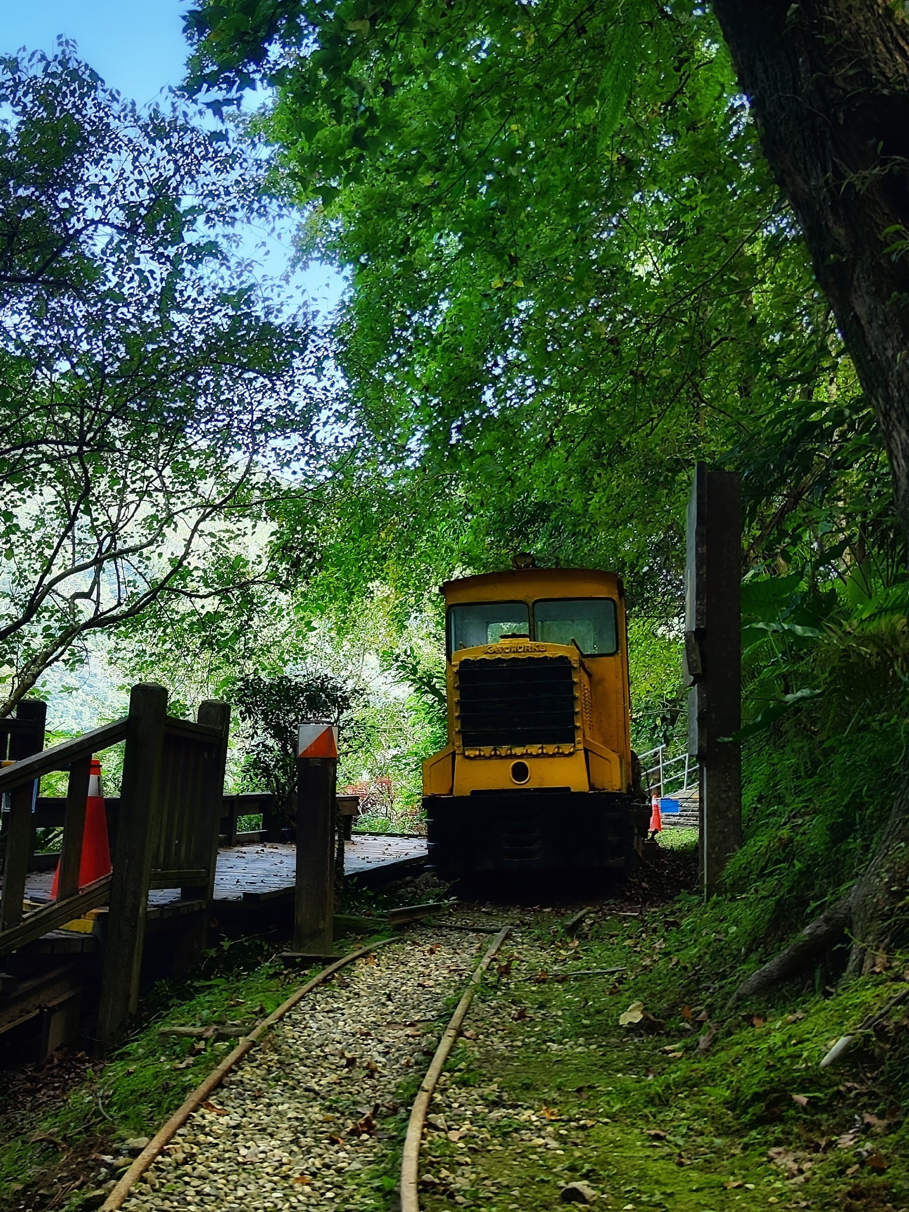 花蓮,鳳林,林田山林業文化園區,花東縱谷,林場,山海戀單車