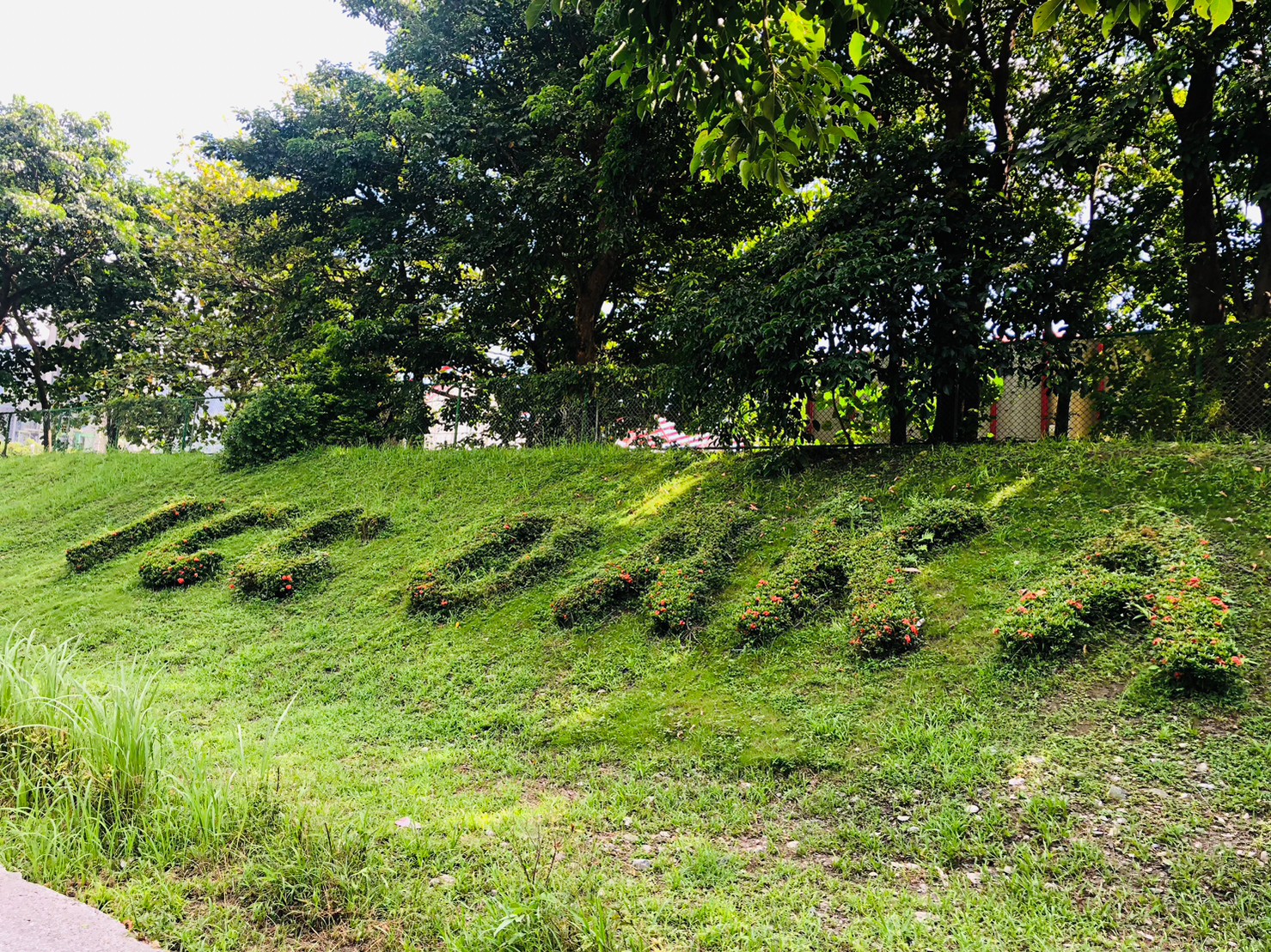 花蓮,秀林,和平,台泥 DAKA,自然環保,循環經濟園區,山海戀單車
