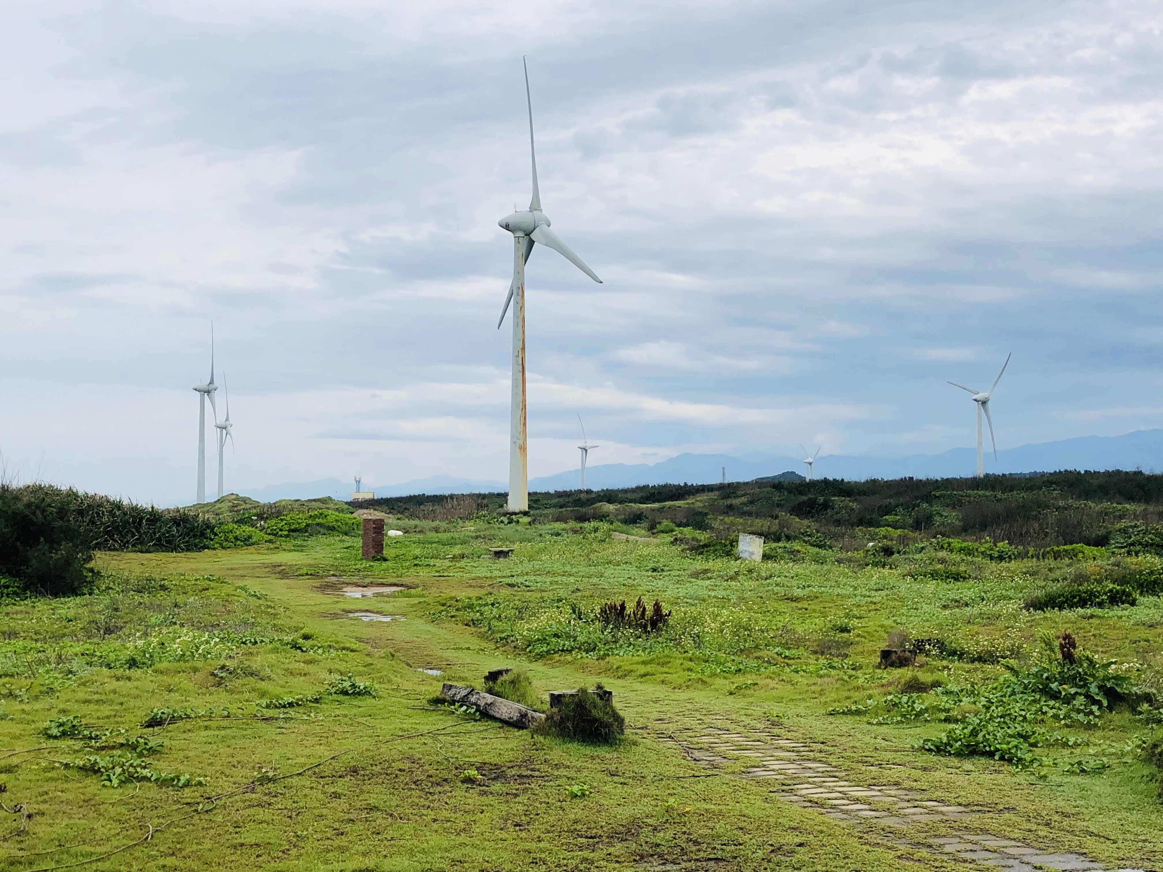 苗栗,後龍,海角樂園,溼地,風力車,山海戀單車