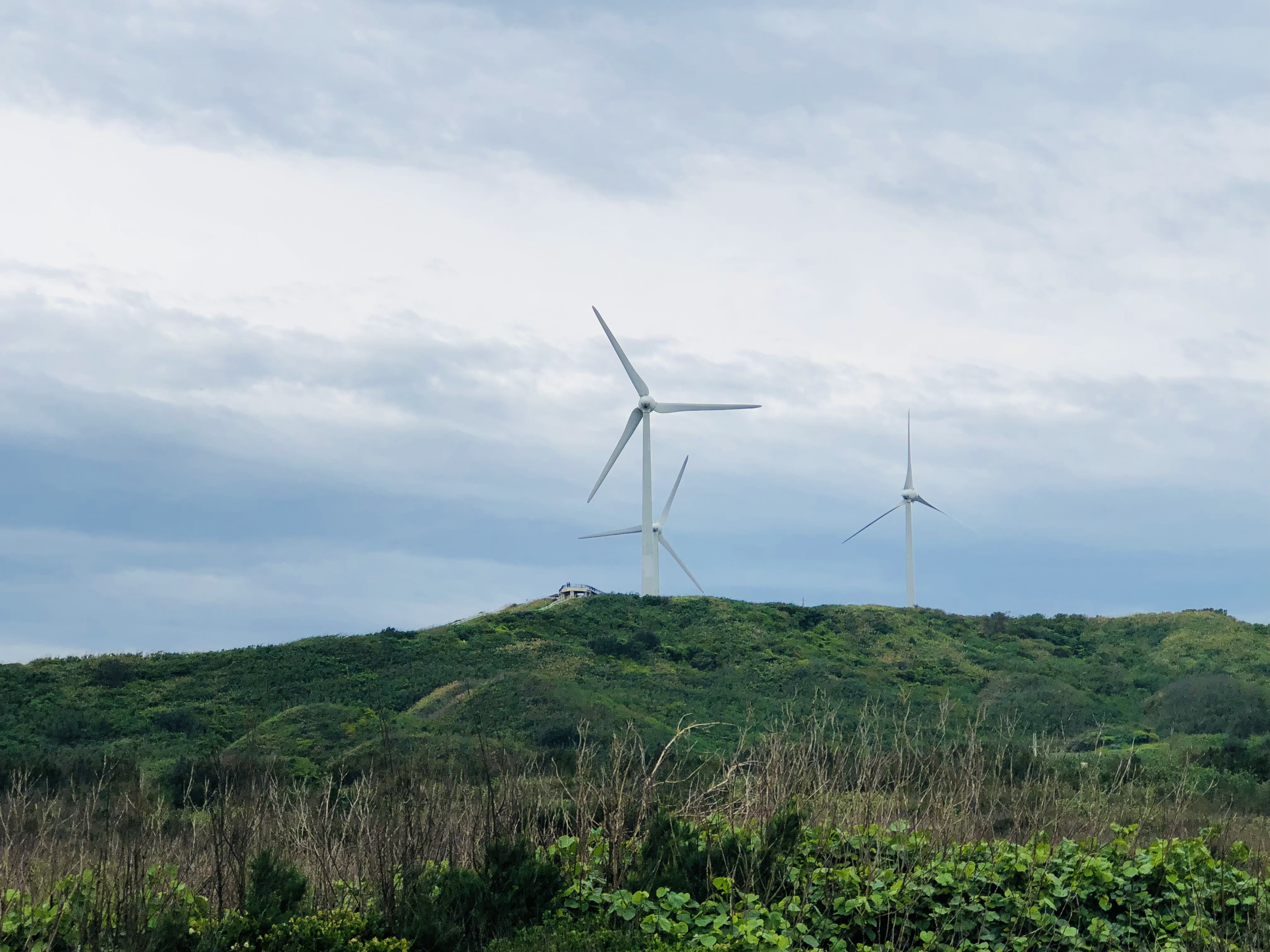苗栗,後龍,海角樂園,溼地,風力車,山海戀單車