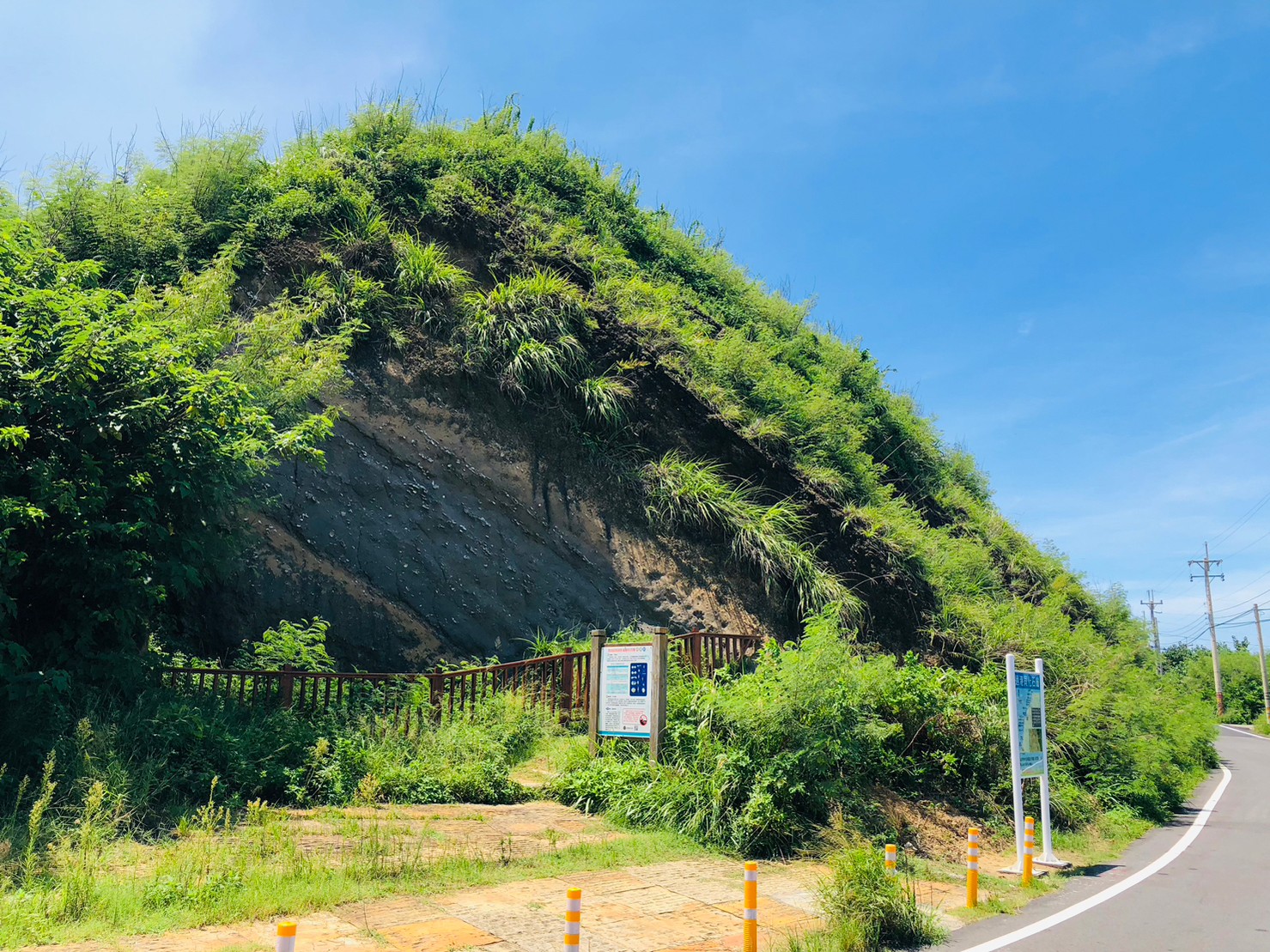 苗栗,後龍,生態,過港貝化石層,山海戀單車