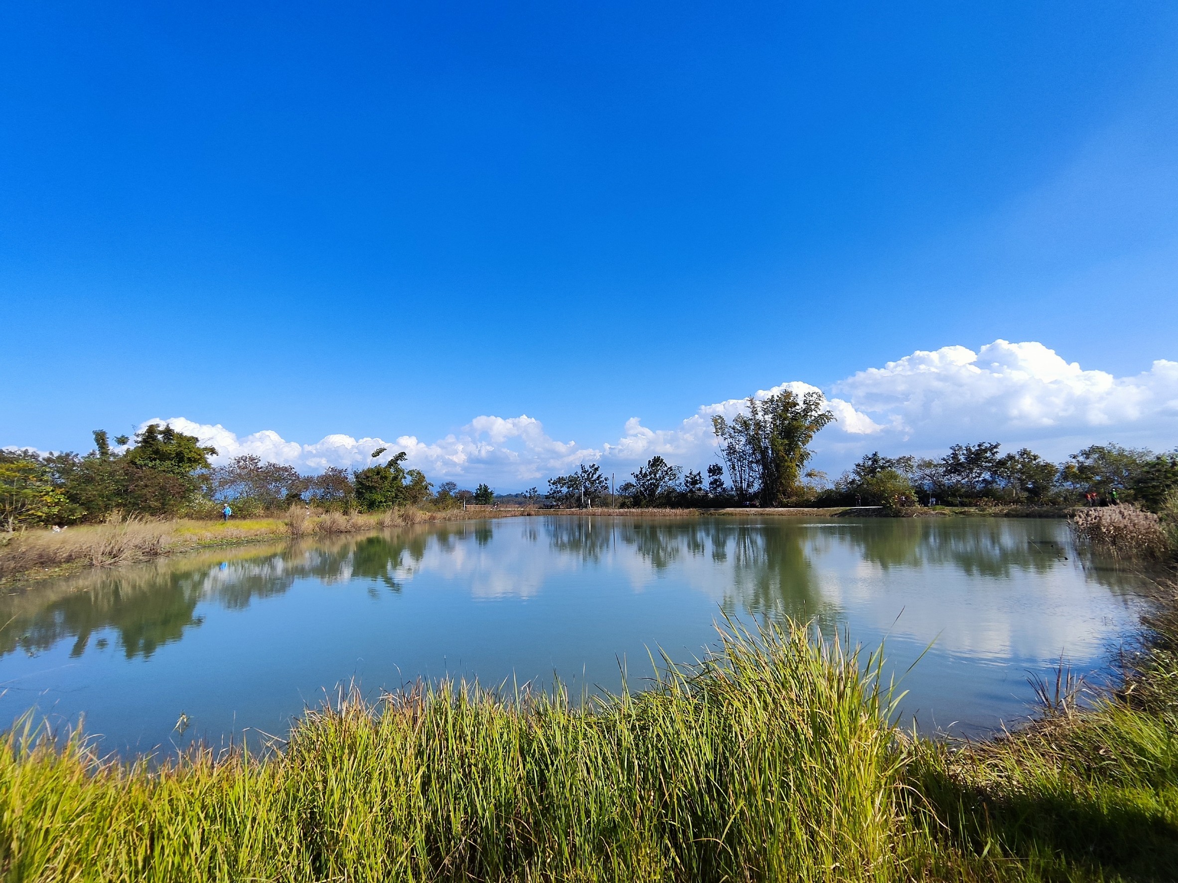 高雄,田寮,田寮月世界,火山,地質景觀,山海戀單車