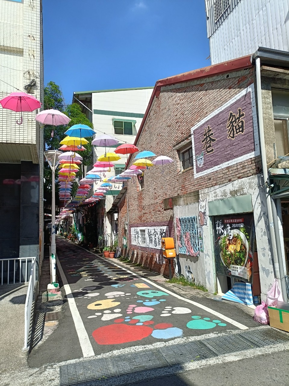 高雄,甲仙,貓巷彩繪村,山海戀單車