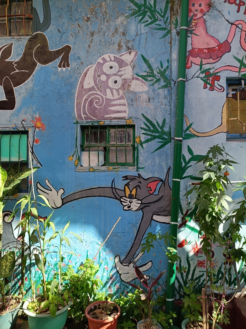 高雄,甲仙,貓巷彩繪村,山海戀單車