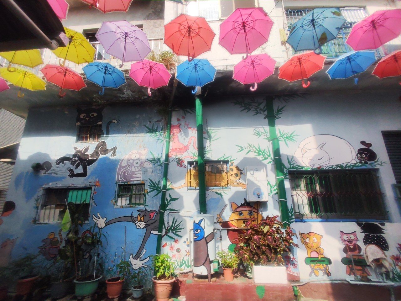 高雄,甲仙,貓巷彩繪村,山海戀單車