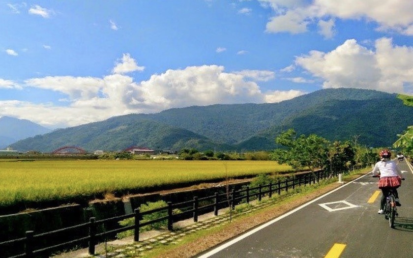 【2026/04/17_野猴子花東縱谷大地尋騎4日】猴子森林樹冠層當泰山找童趣．花東縱谷稻路賞景觀享騎趣！